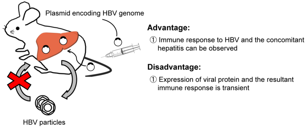 Pathogens 03 00377 g002 1024