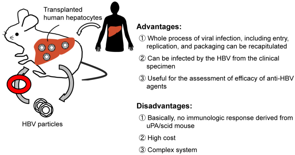 Pathogens 03 00377 g003 1024