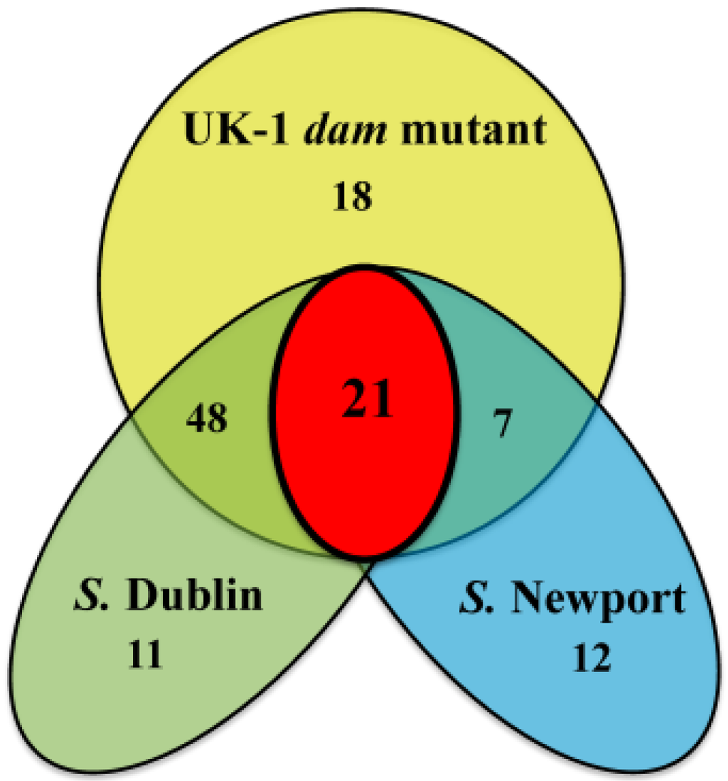 Pathogens 03 00417 g004 1024
