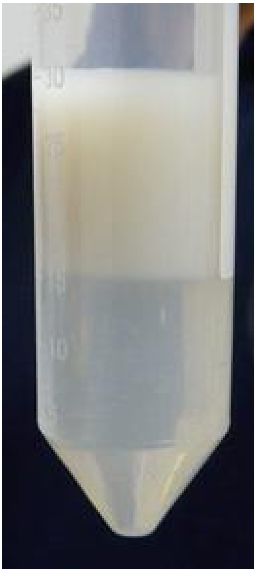 Pathogens 03 00934 g001 1024