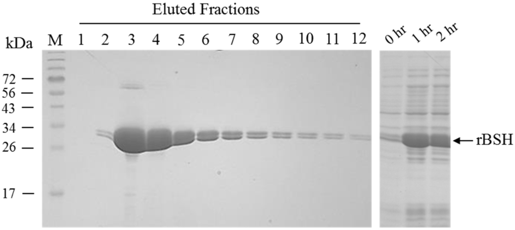 Pathogens 03 00947 g002 1024