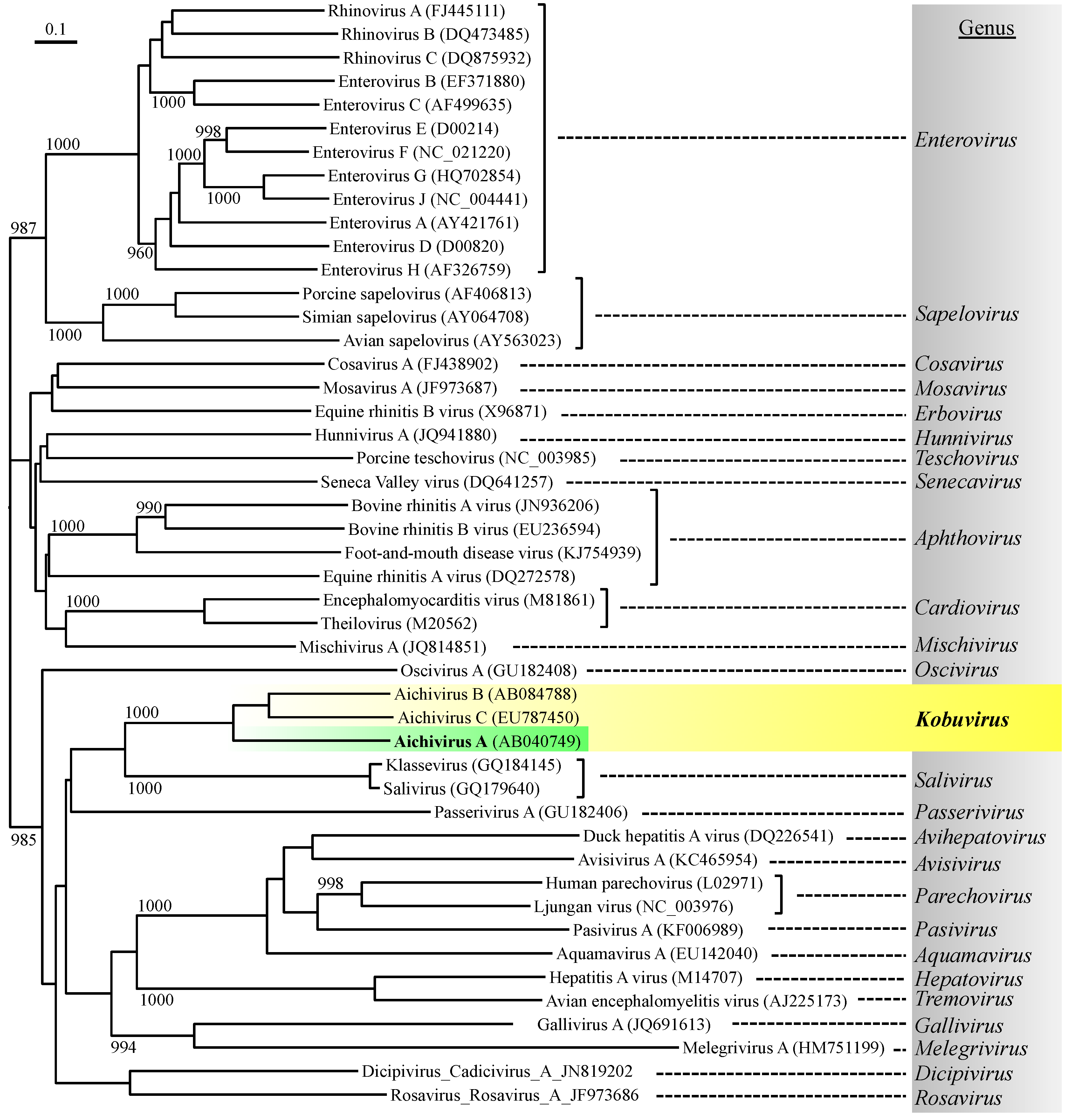 Pathogens 04 00256 g001