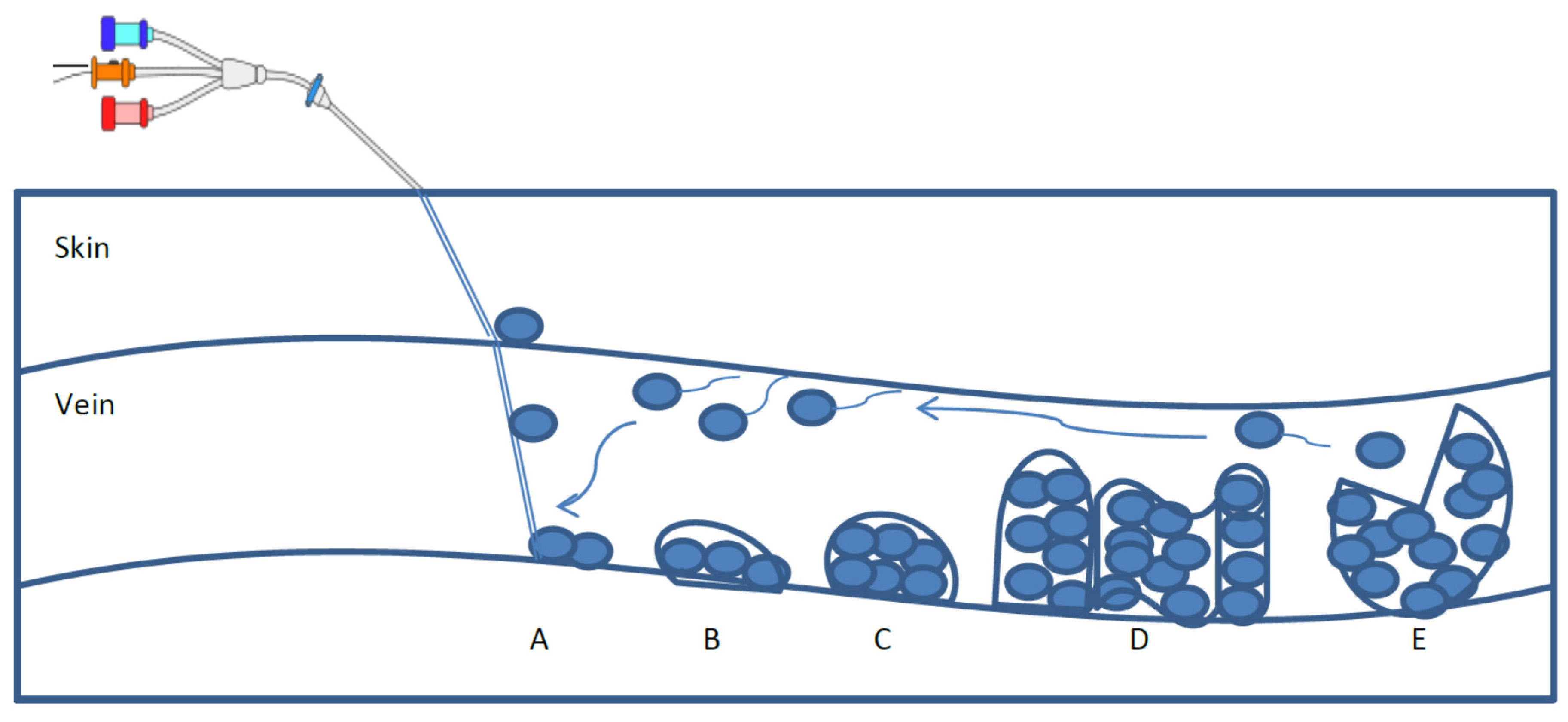 Pathogens 04 00457 g001