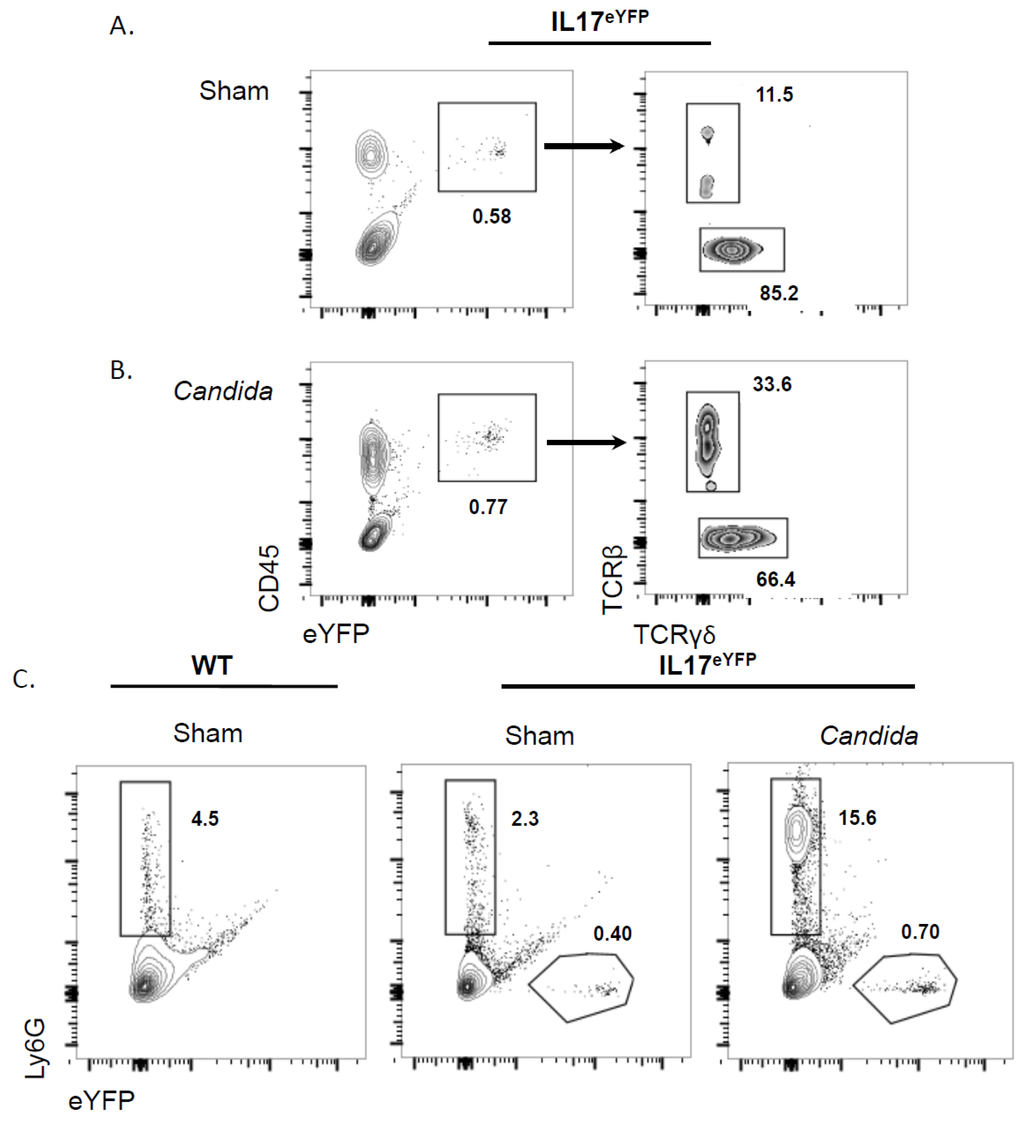 Pathogens 04 00559 g001 1024