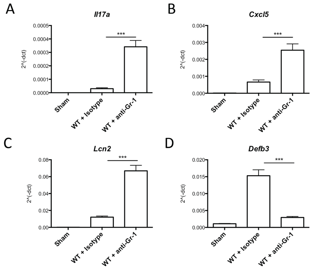 Pathogens 04 00559 g002 1024