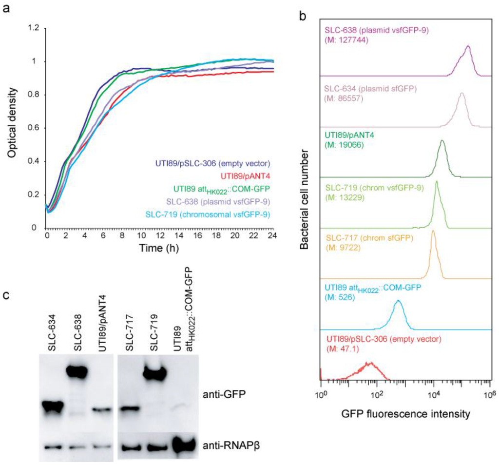 Pathogens 05 00003 g001 1024