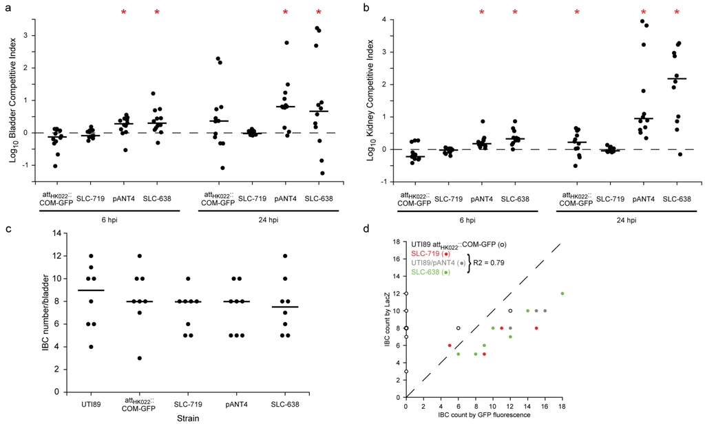 Pathogens 05 00003 g002 1024