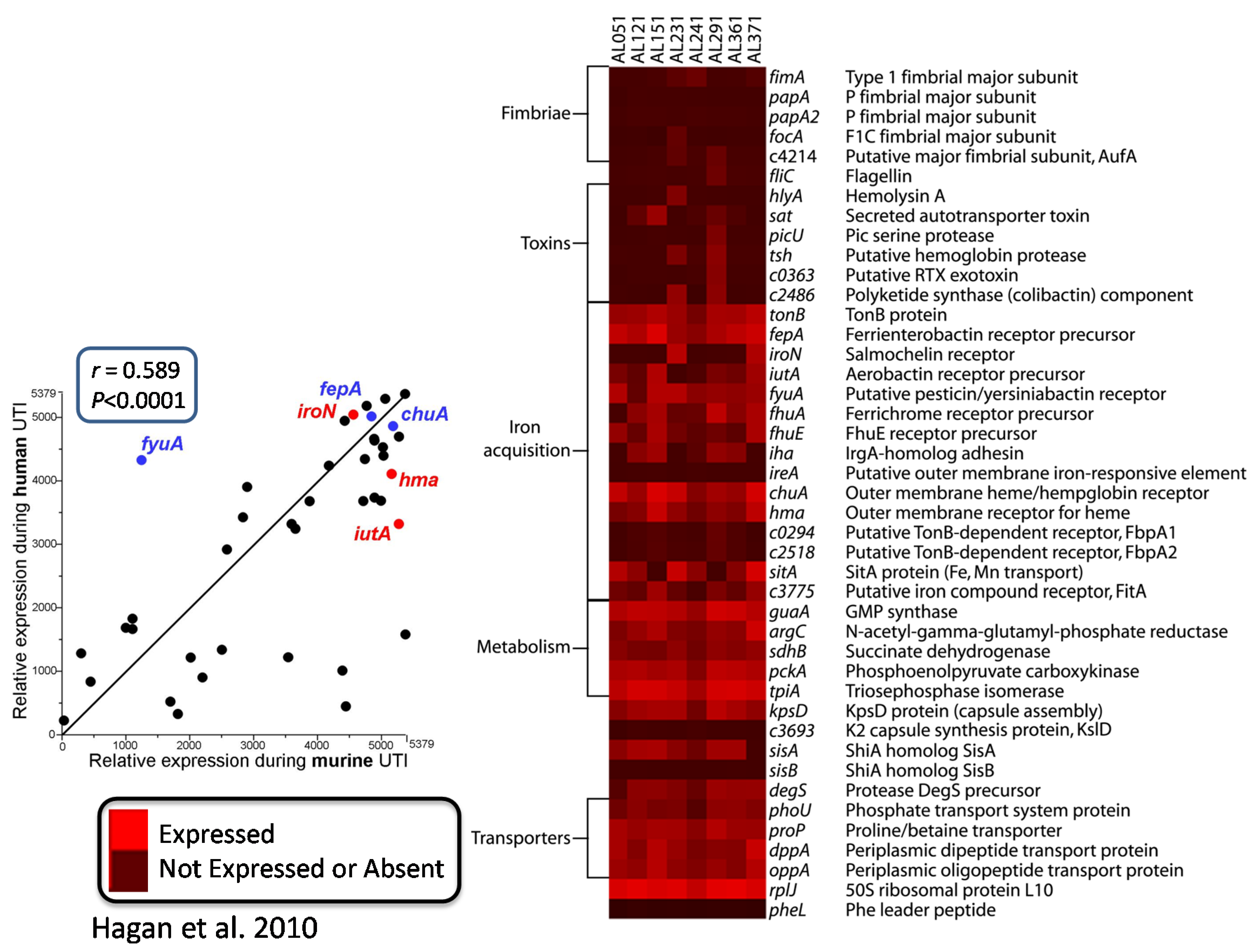 Pathogens 05 00007 g003