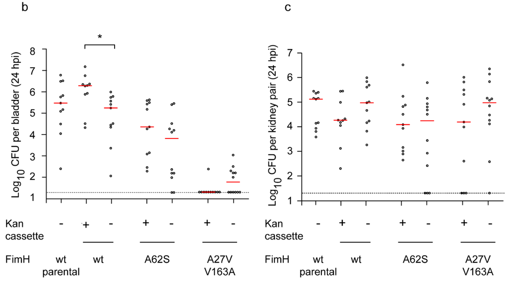 Pathogens 05 00009 g001b 1024