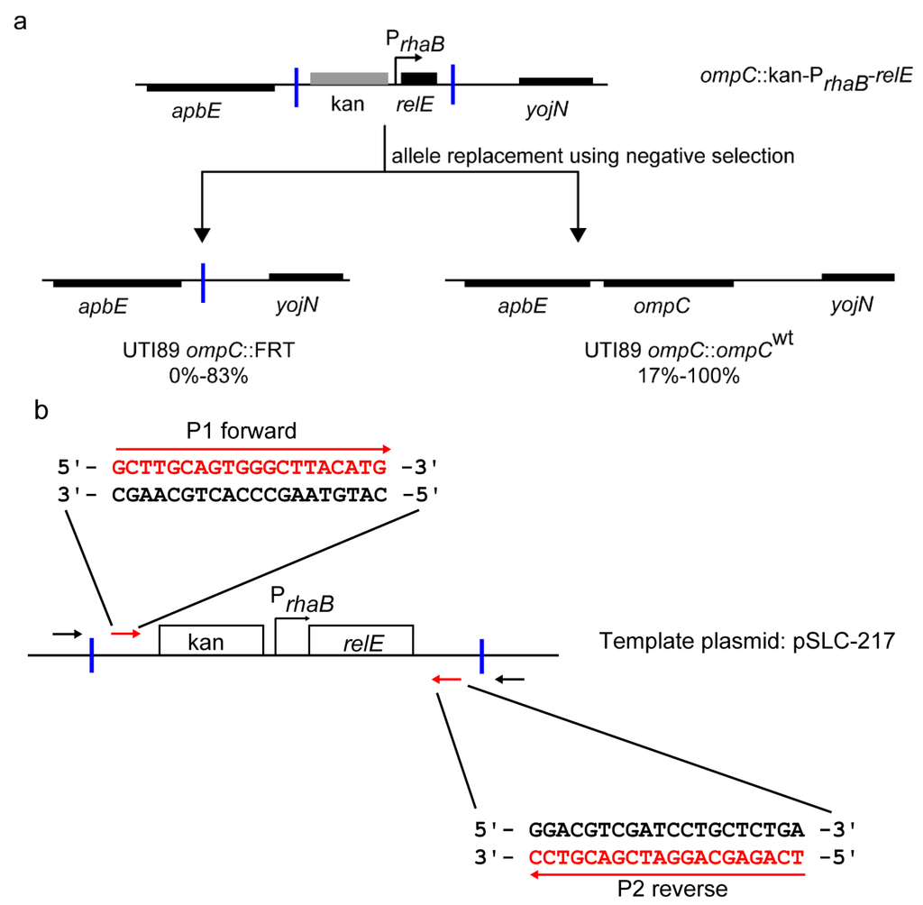 Pathogens 05 00009 g002 1024