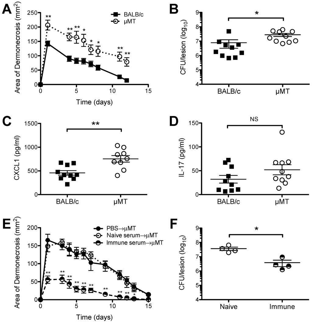 Pathogens 05 00012 g001 1024