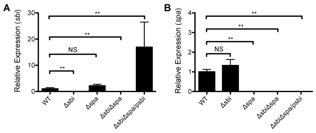 Pathogens 05 00012 g002 1024