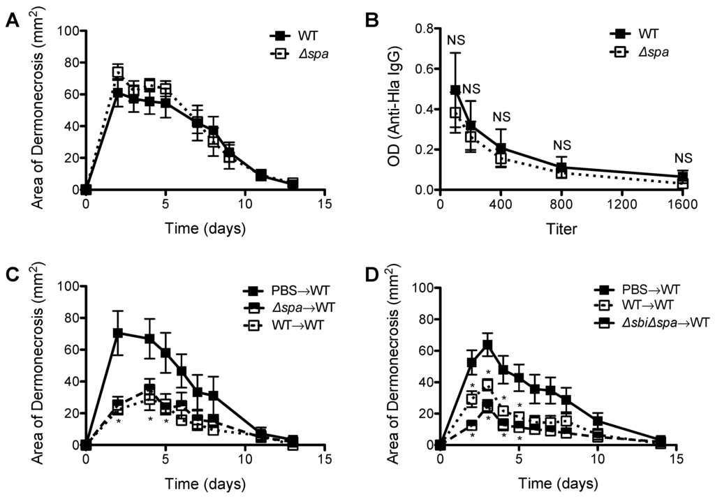 Pathogens 05 00012 g005 1024