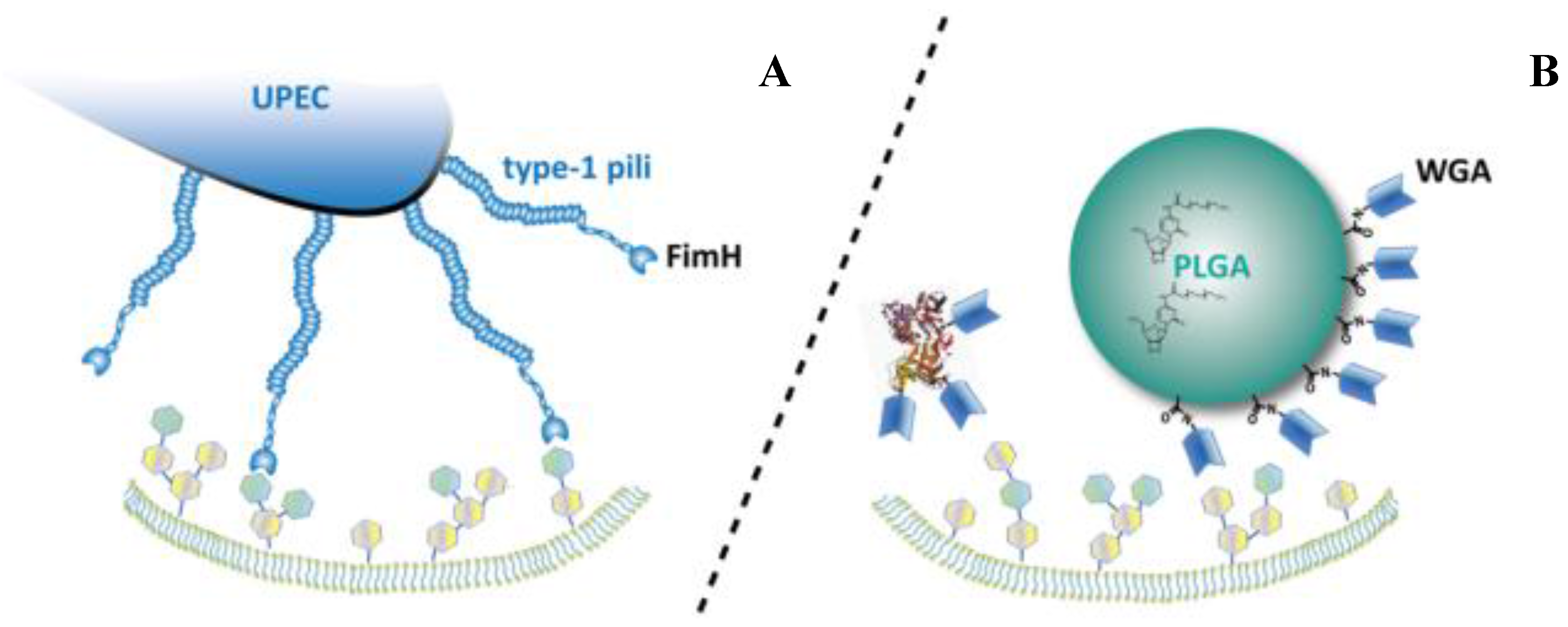 Pathogens 05 00016 g001