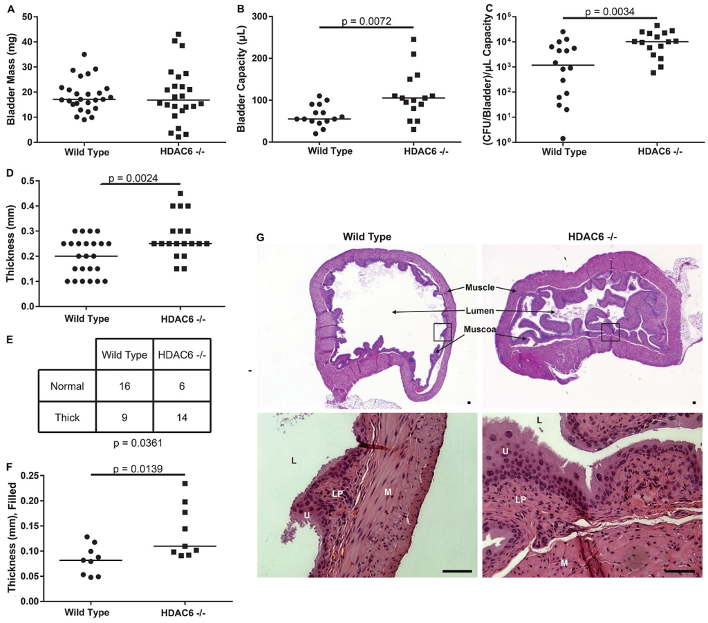 Pathogens 05 00020 g003 1024