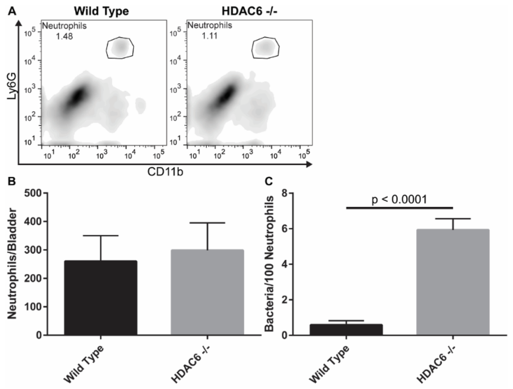 Pathogens 05 00020 g005 1024