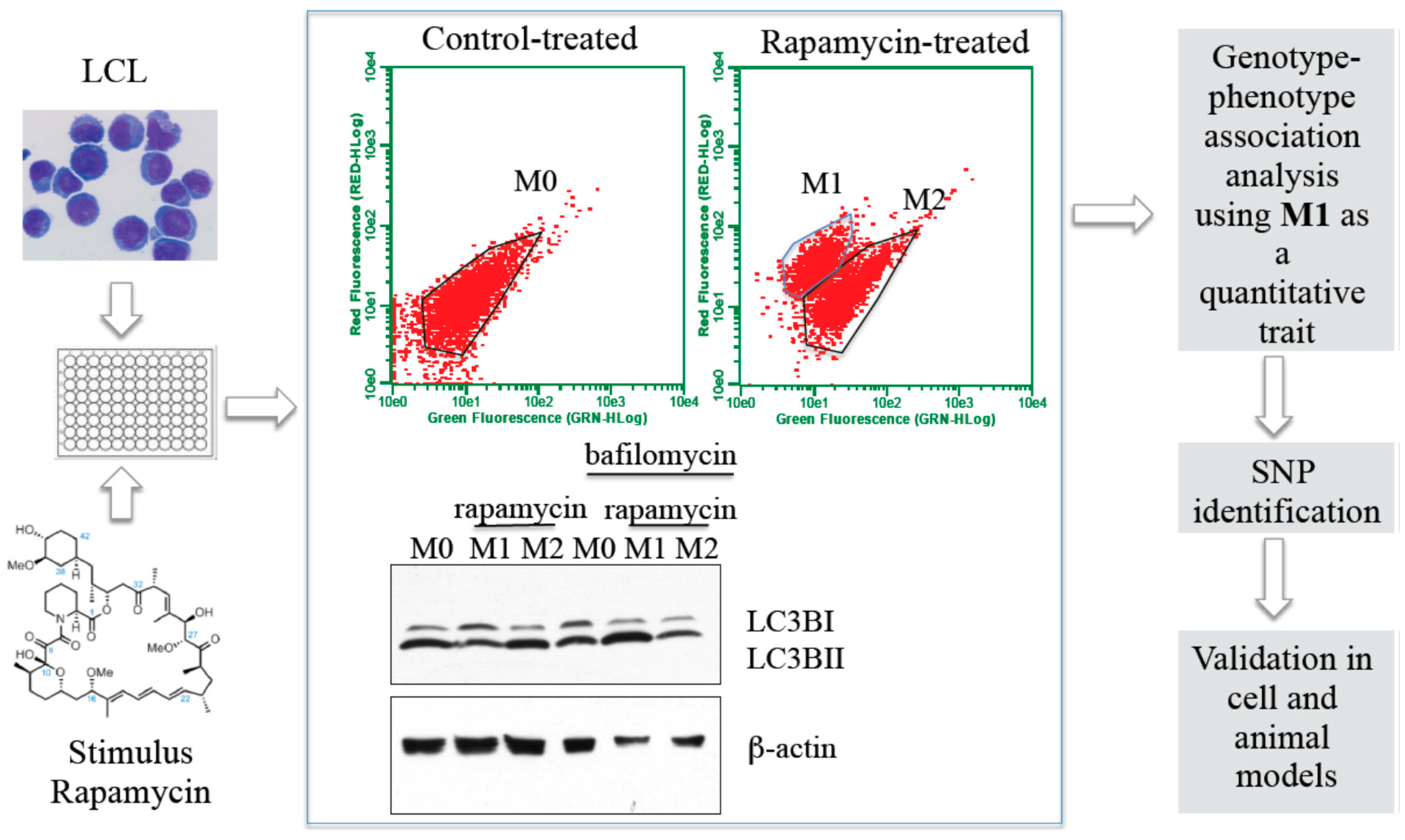 Pathogens 05 00039 g001