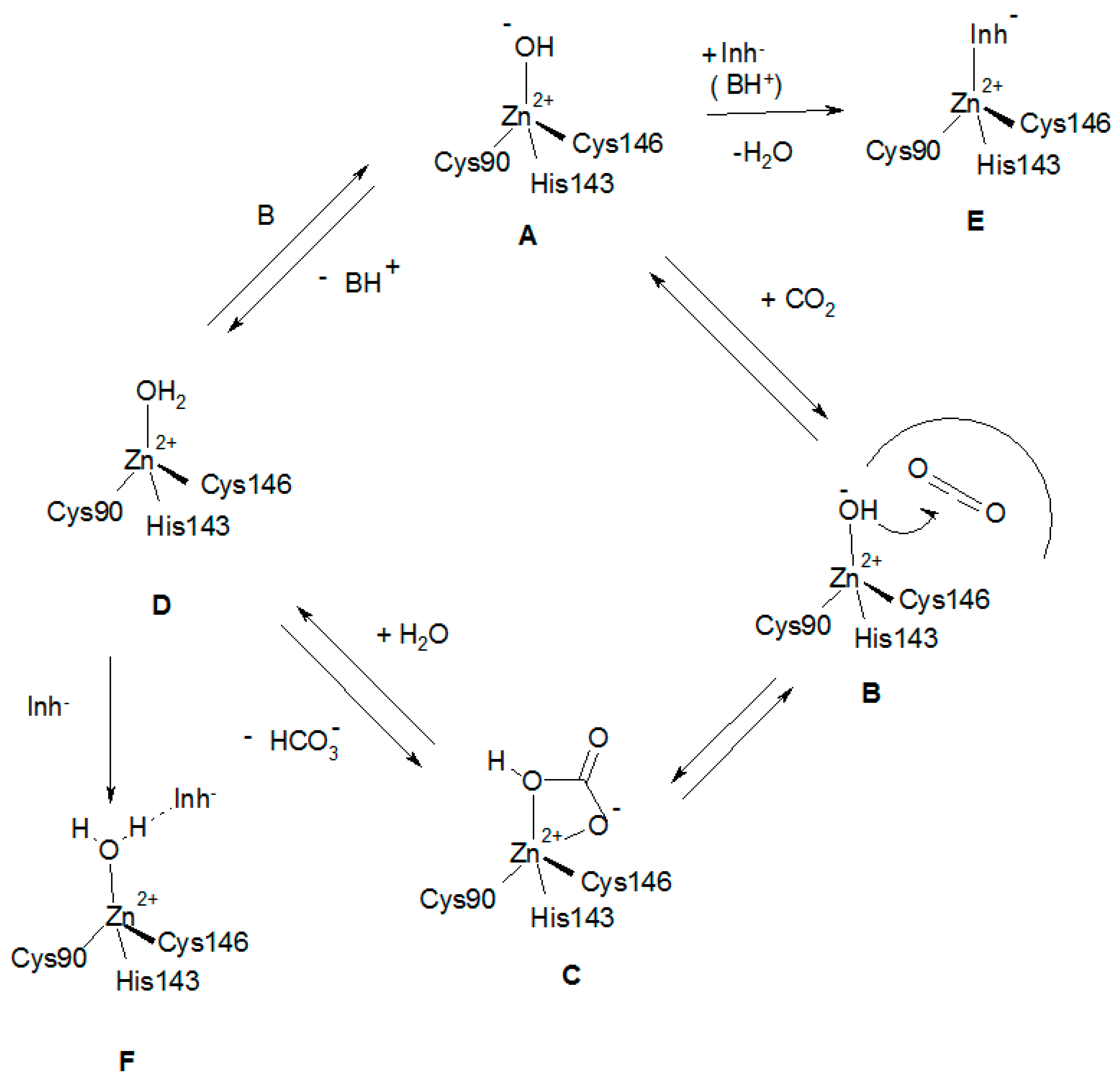 Pathogens 05 00044 g003
