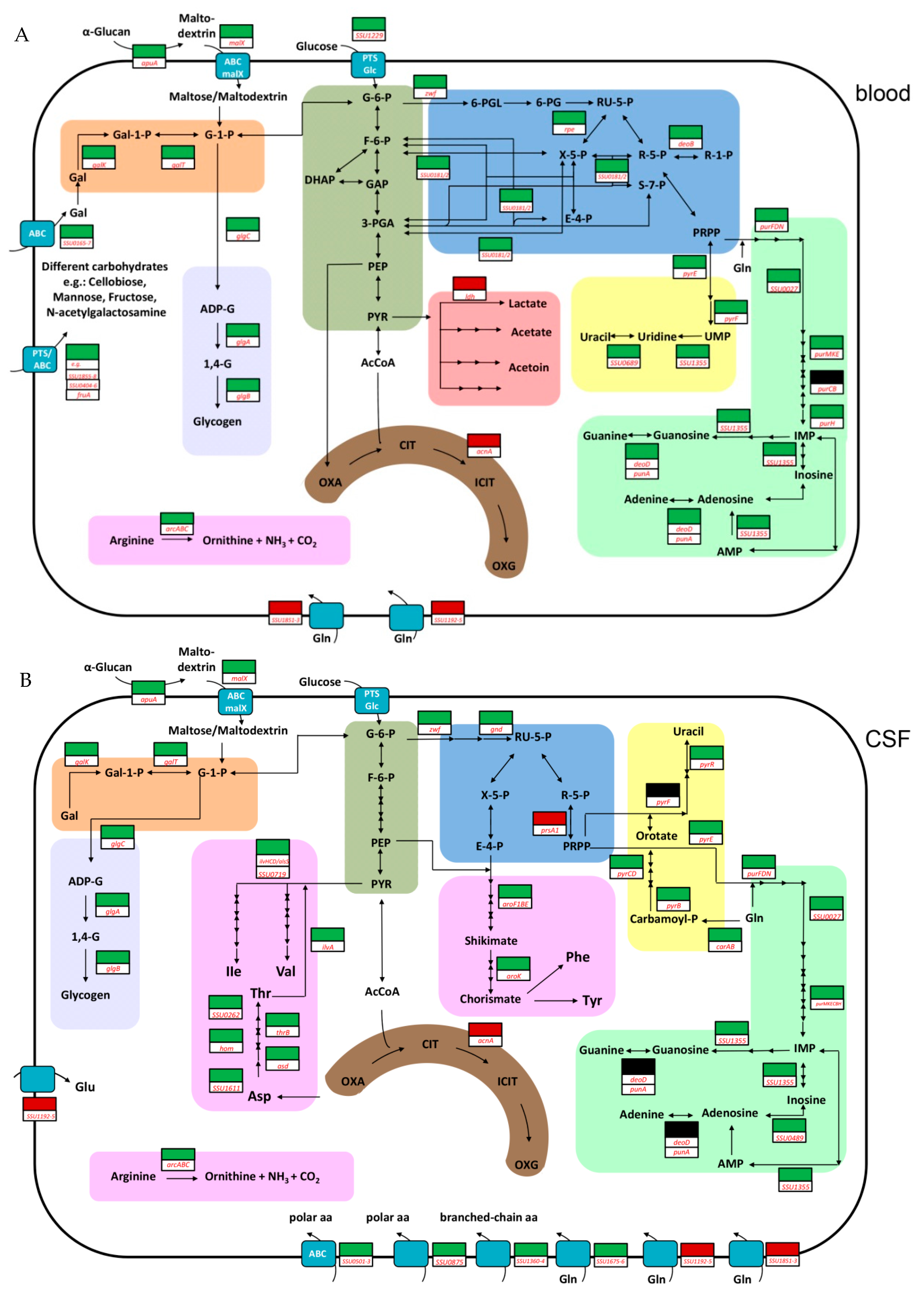 Pathogens 06 00007 g001