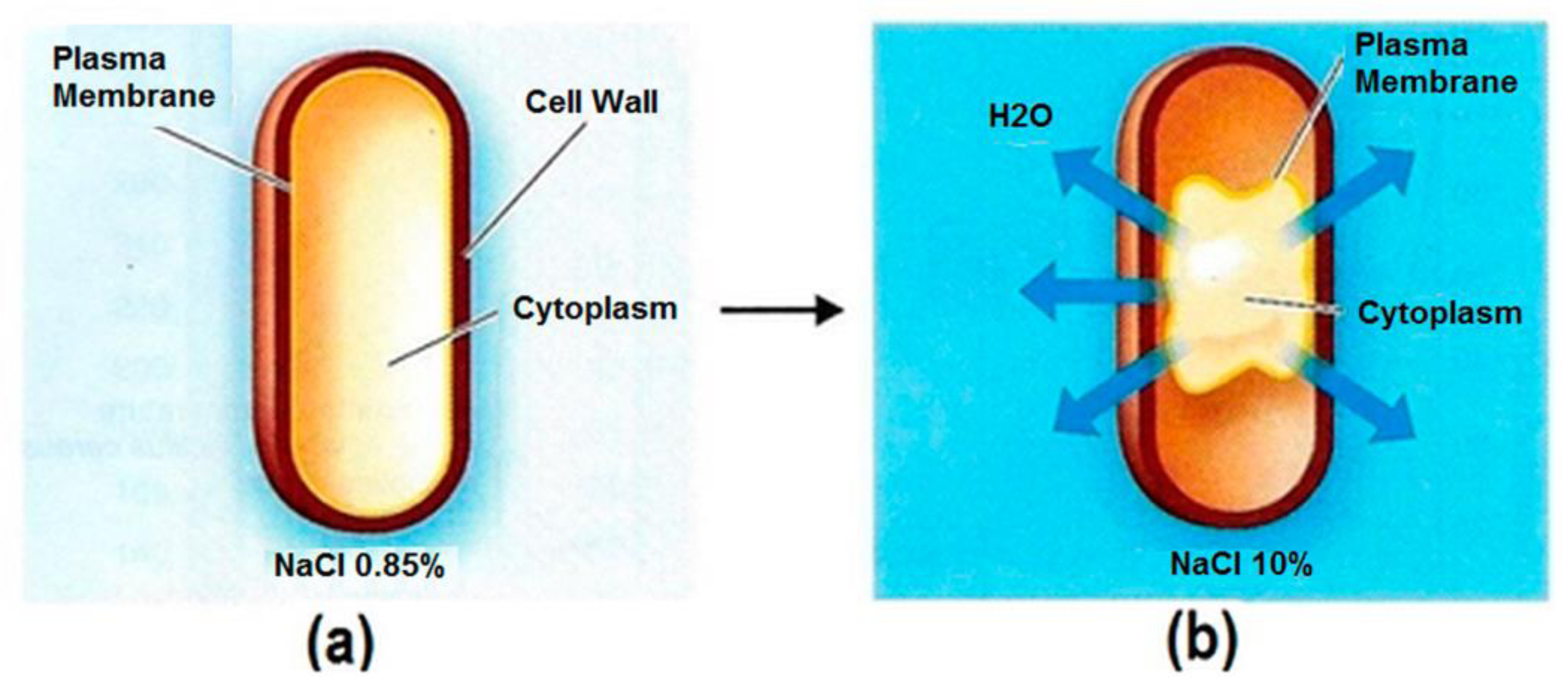 Pathogens 06 00014 g003