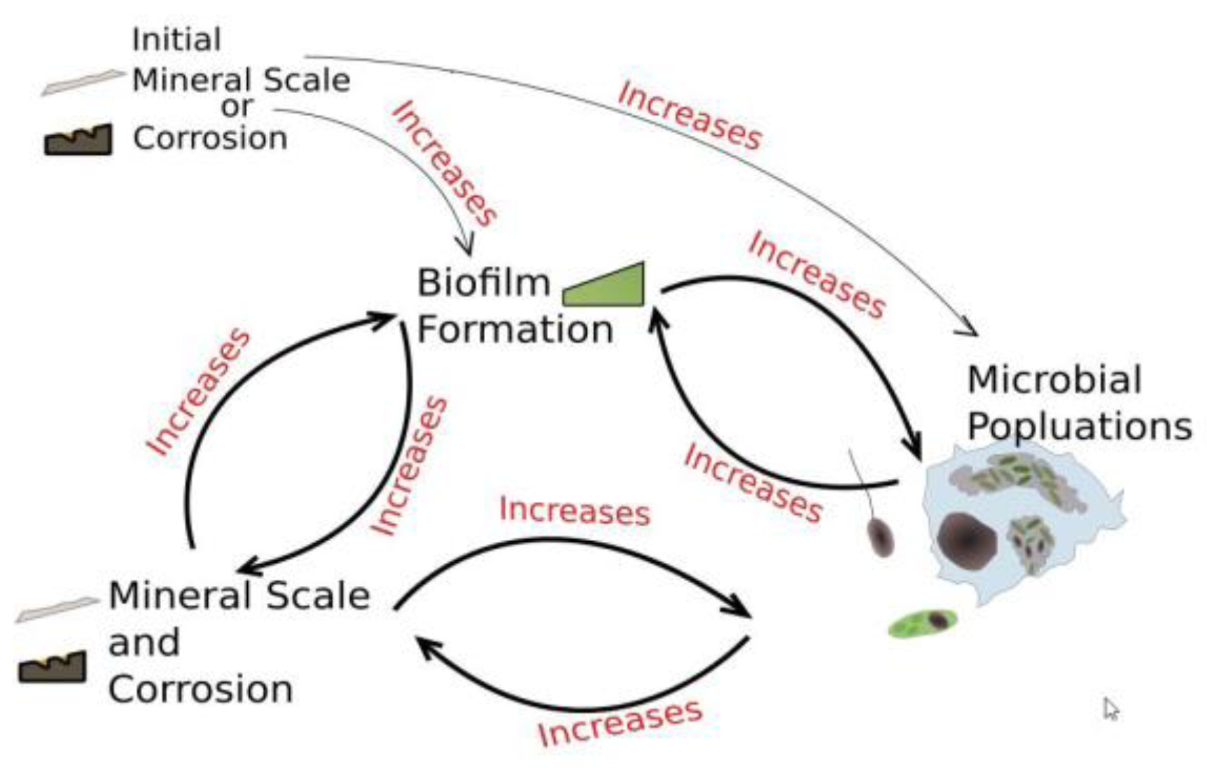 Pathogens 06 00014 g010