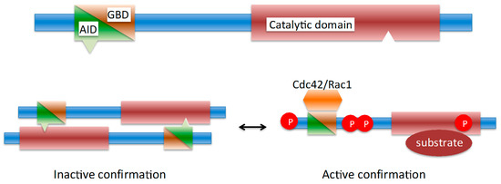 Pathogens 06 00017 g001 550