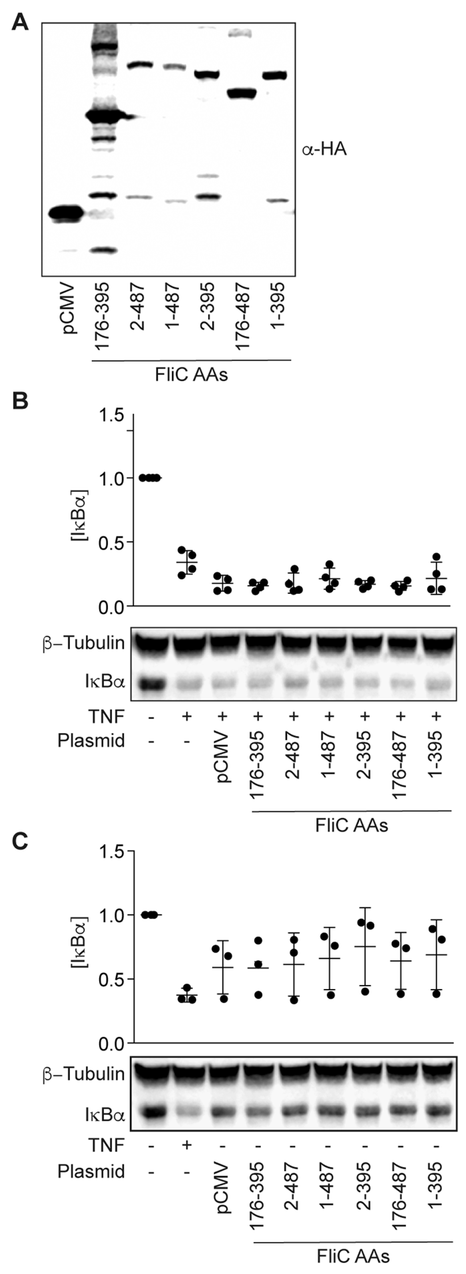Pathogens 06 00018 g004