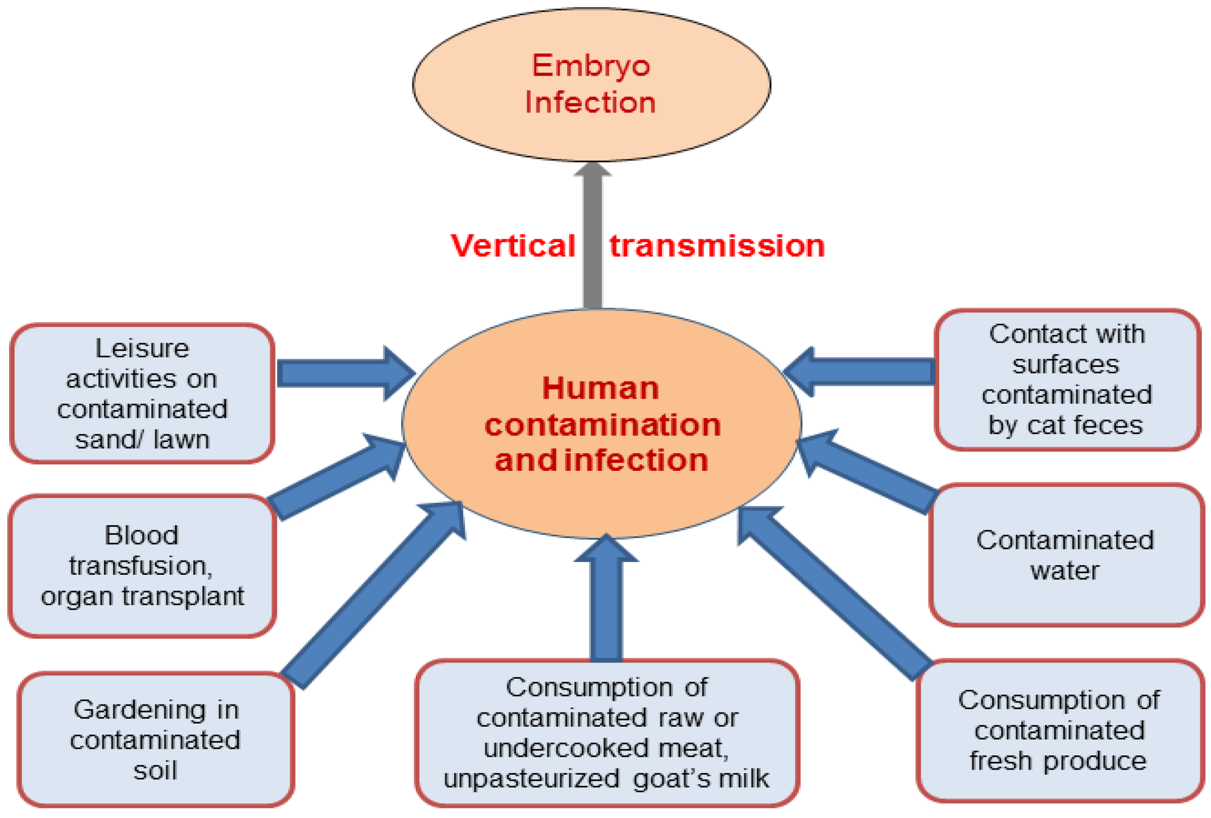 Pathogens 06 00021 g002
