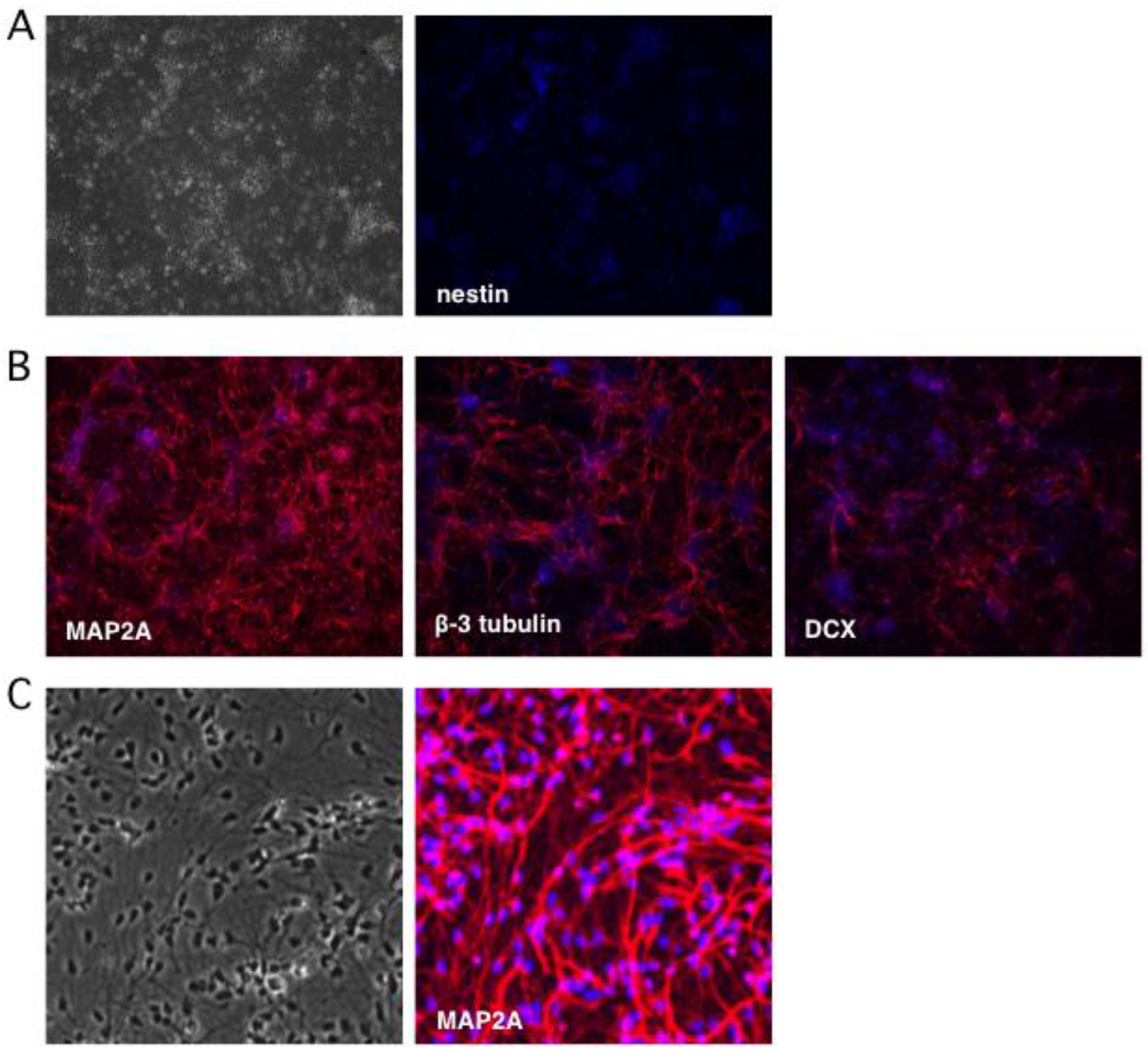 Pathogens 06 00024 g002