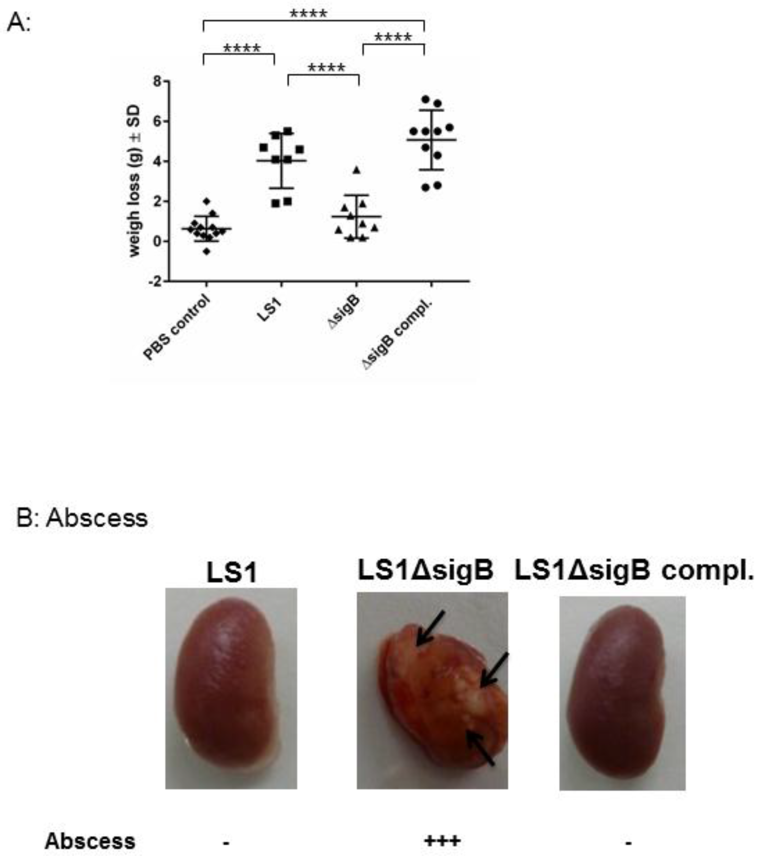 Pathogens 06 00031 g003