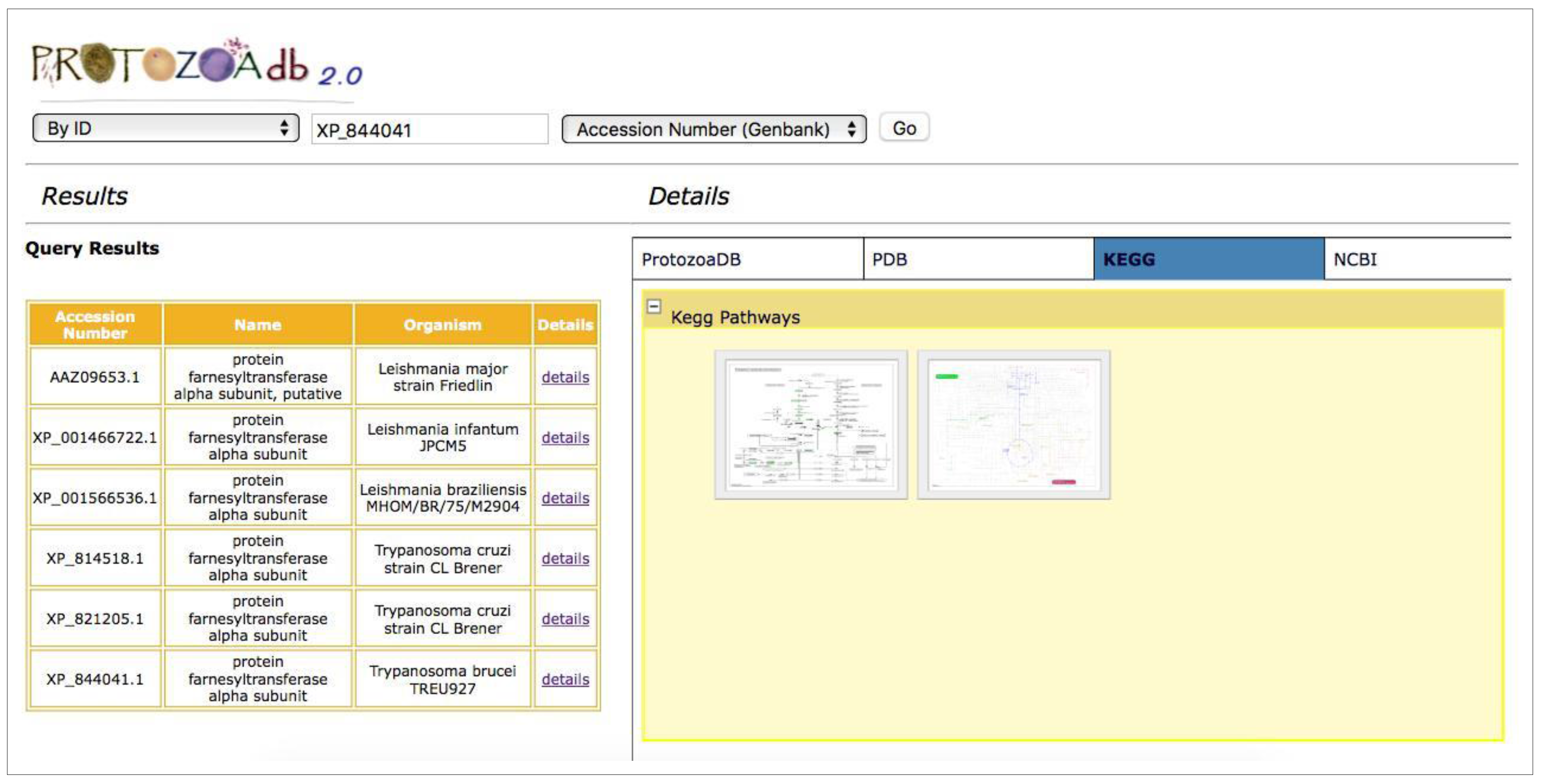 Pathogens 06 00032 g006