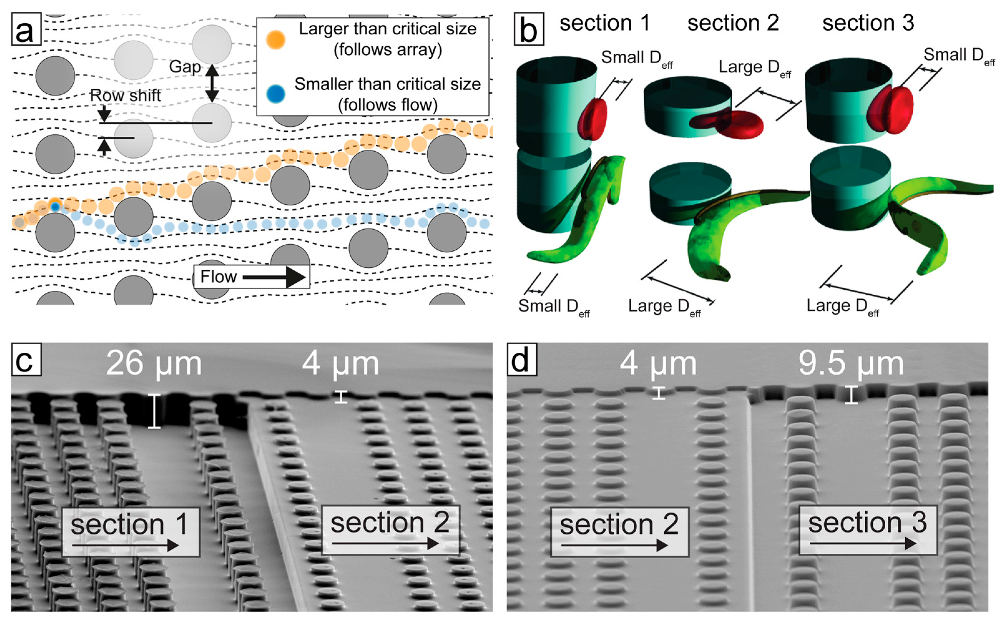 Pathogens 06 00047 g003