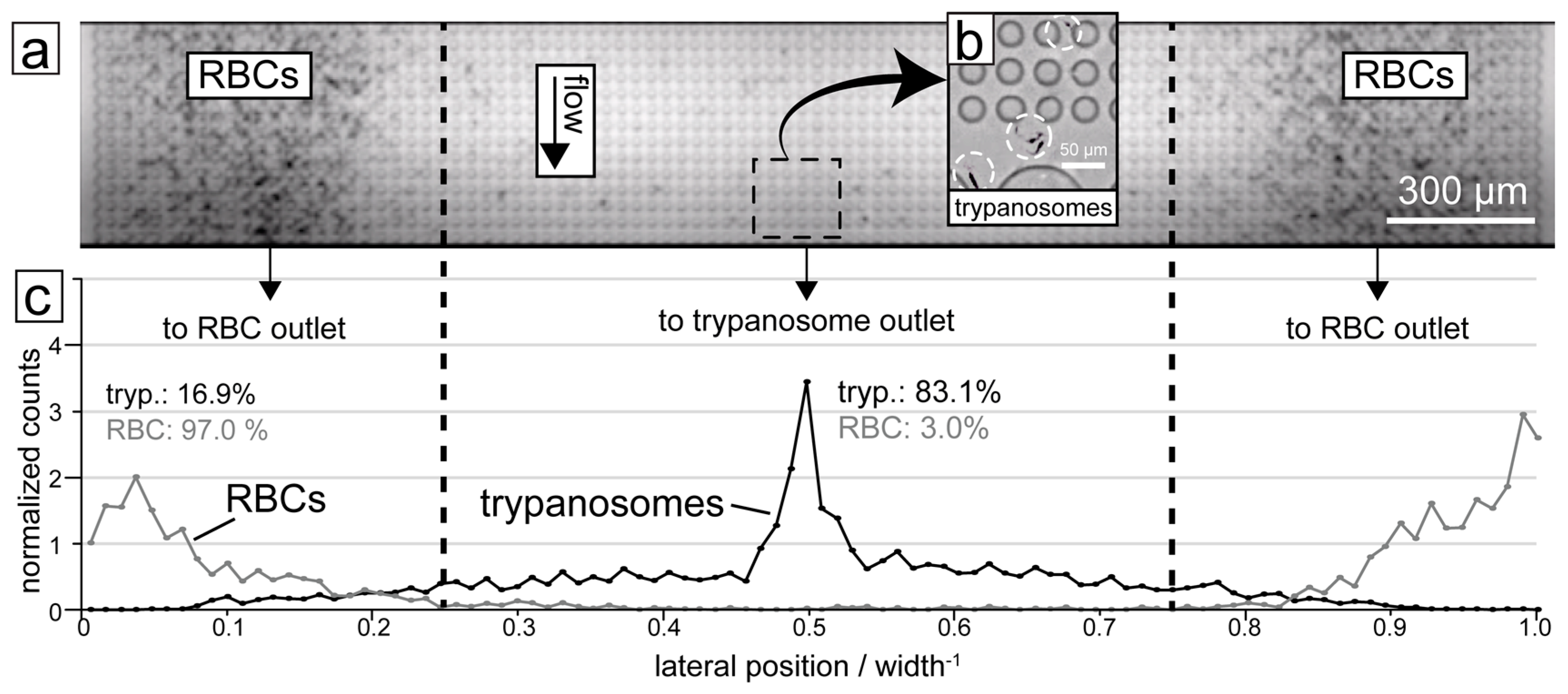 Pathogens 06 00047 g004