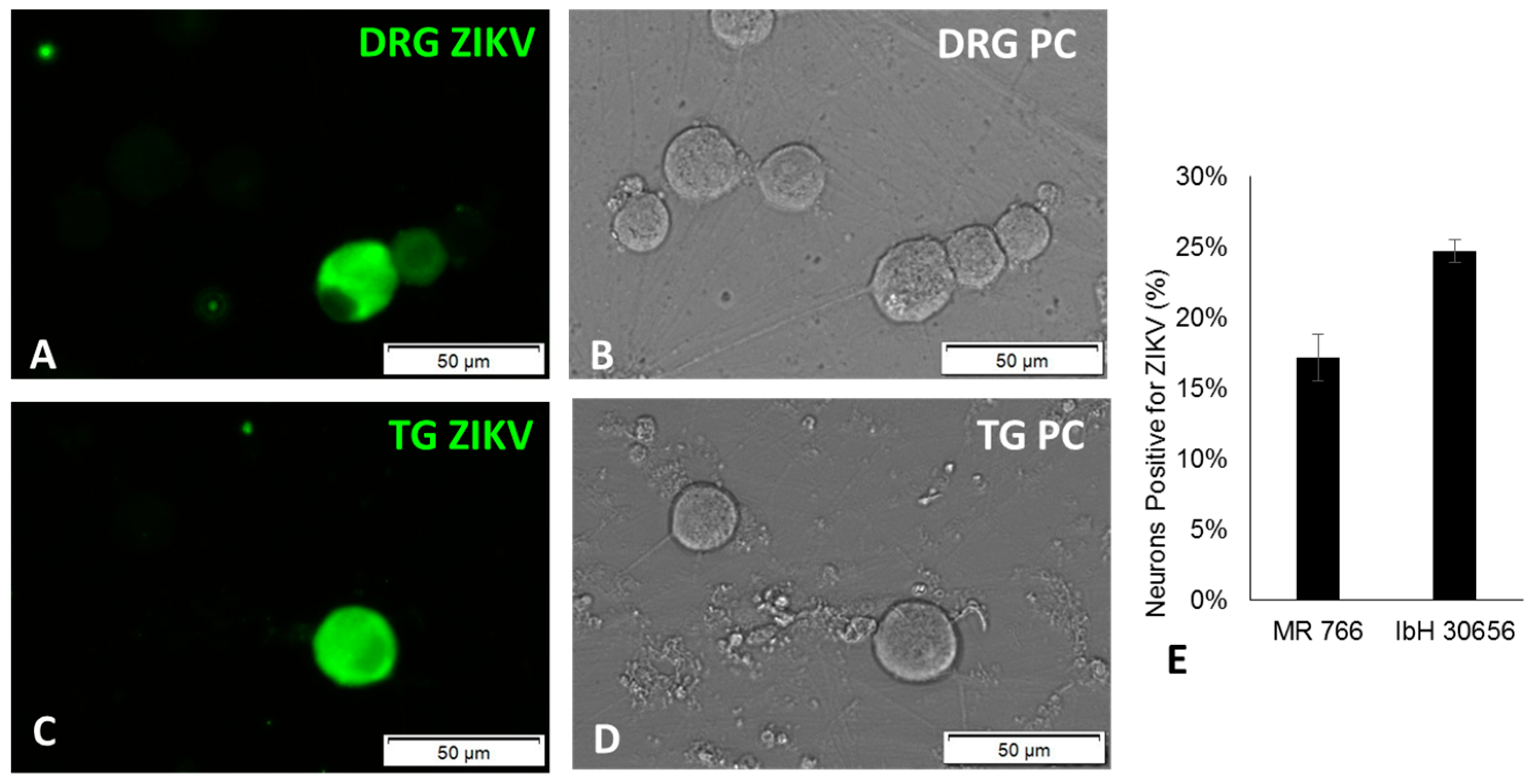 Pathogens 06 00049 g001