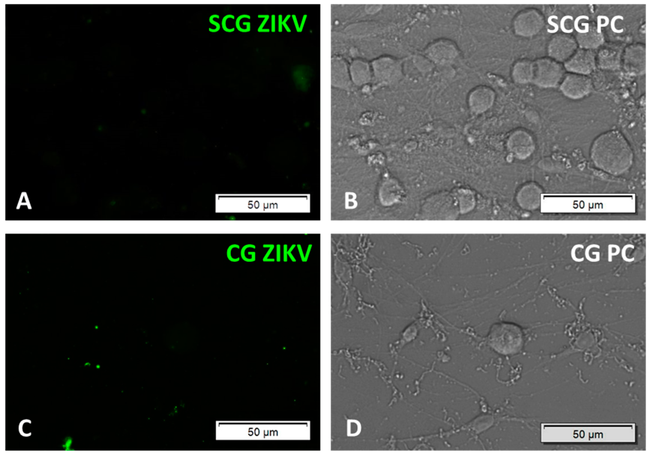 Pathogens 06 00049 g003