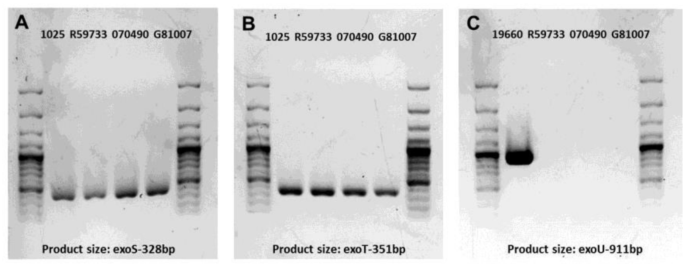Pathogens 06 00052 g001