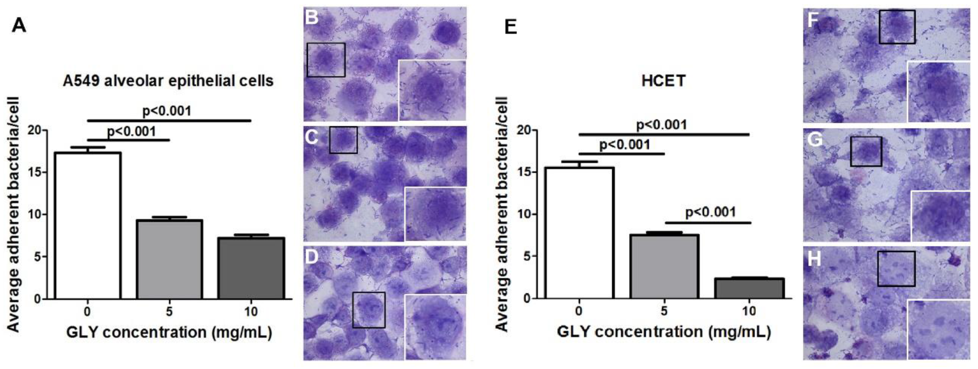 Pathogens 06 00052 g006