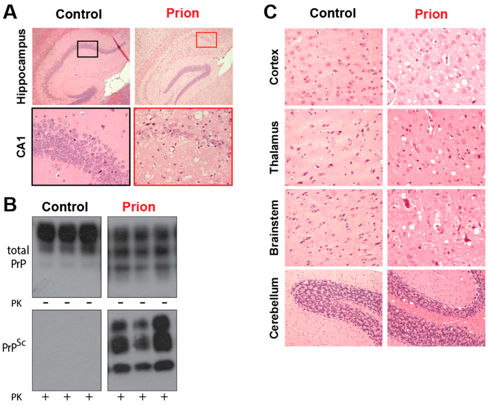 Pathogens 06 00063 g002