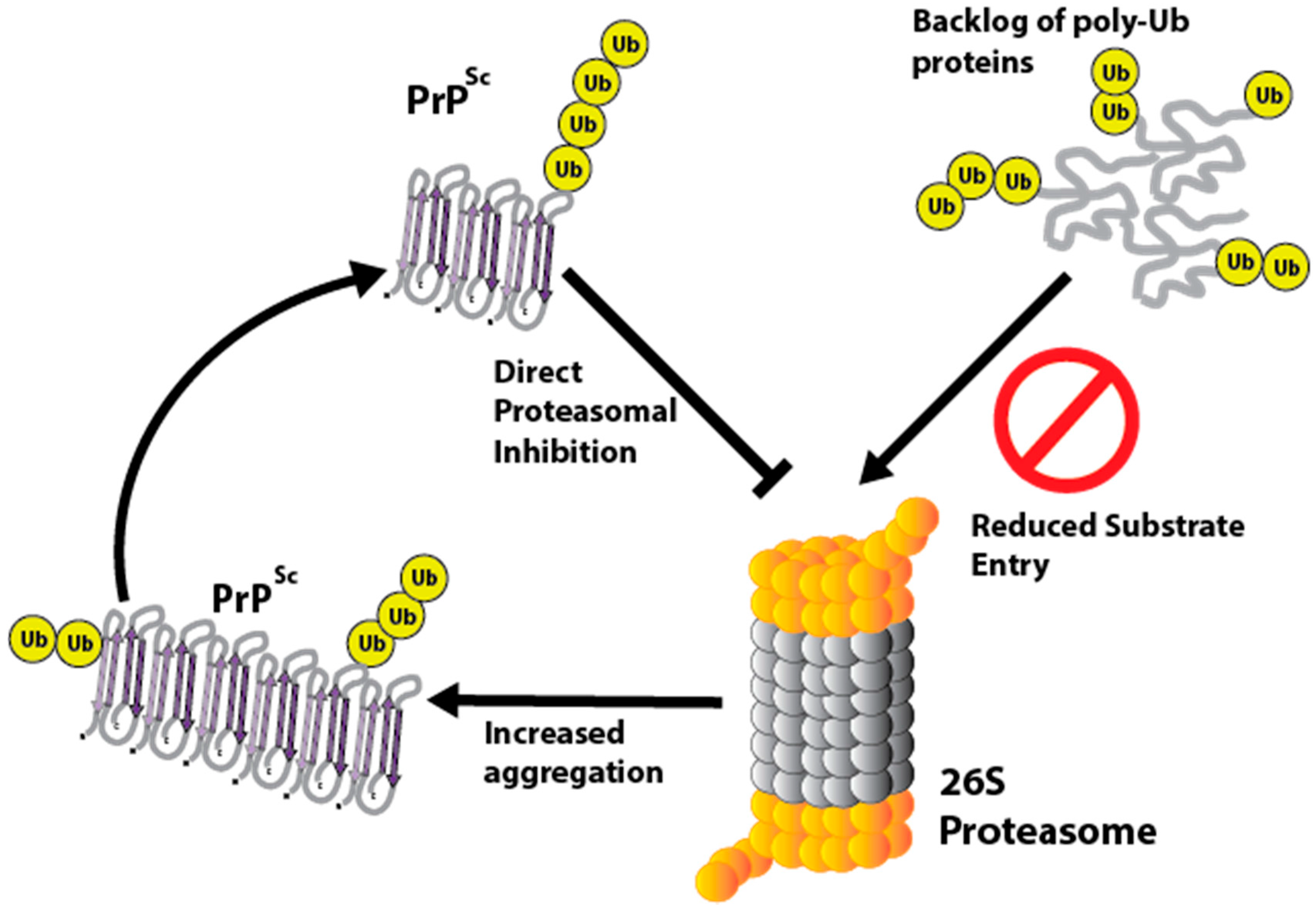 Pathogens 06 00063 g003