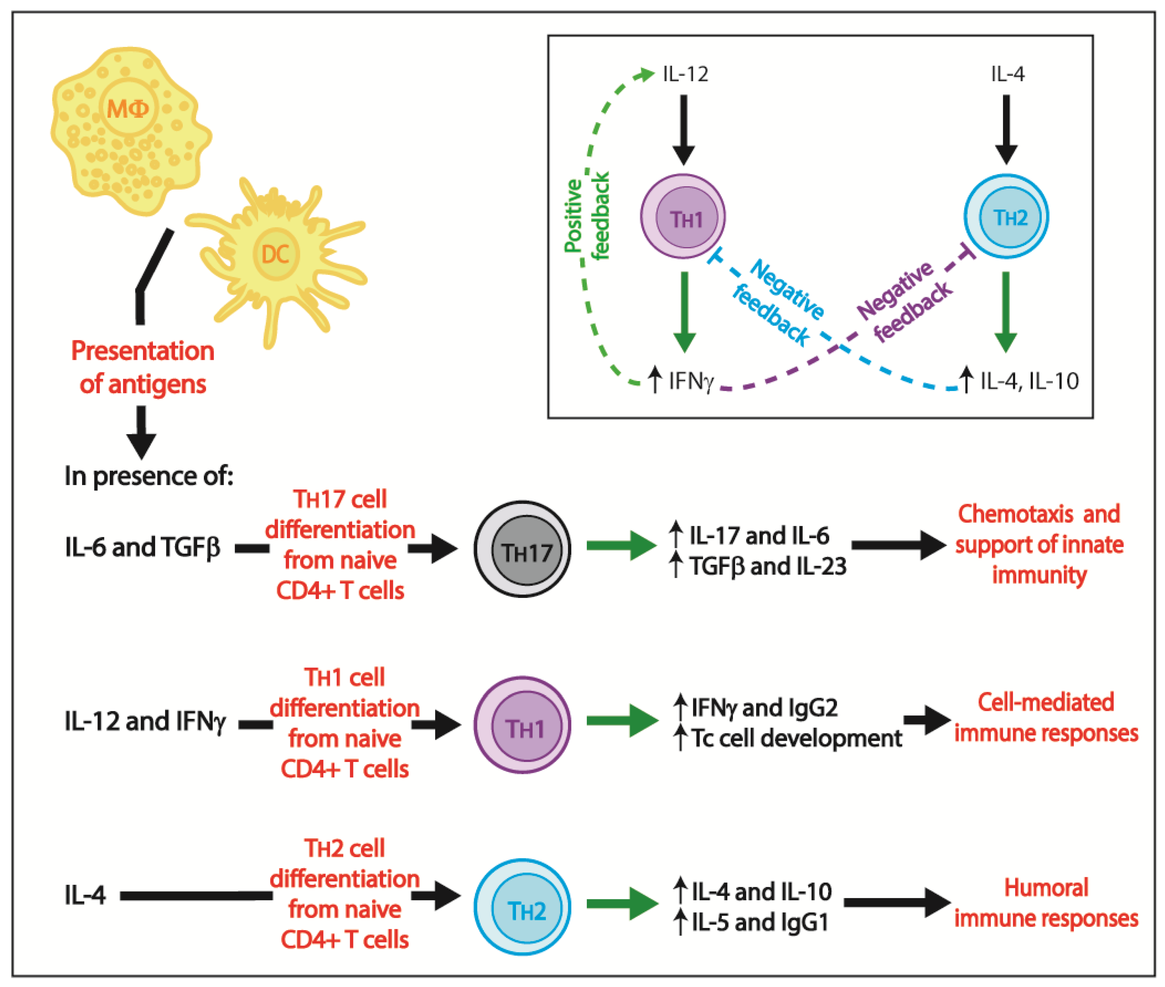 Pathogens 07 00002 g002