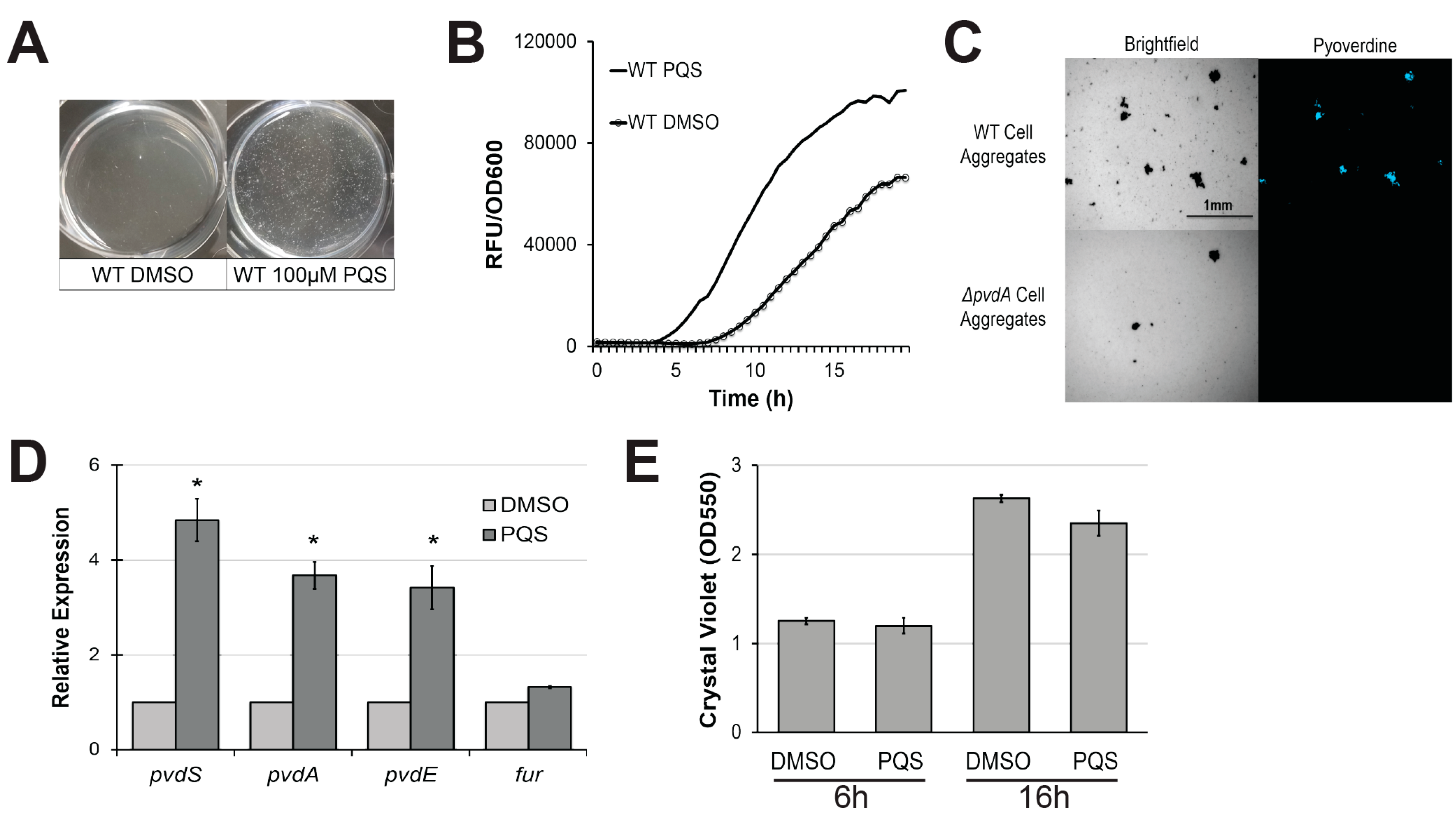 Pathogens 07 00003 g001