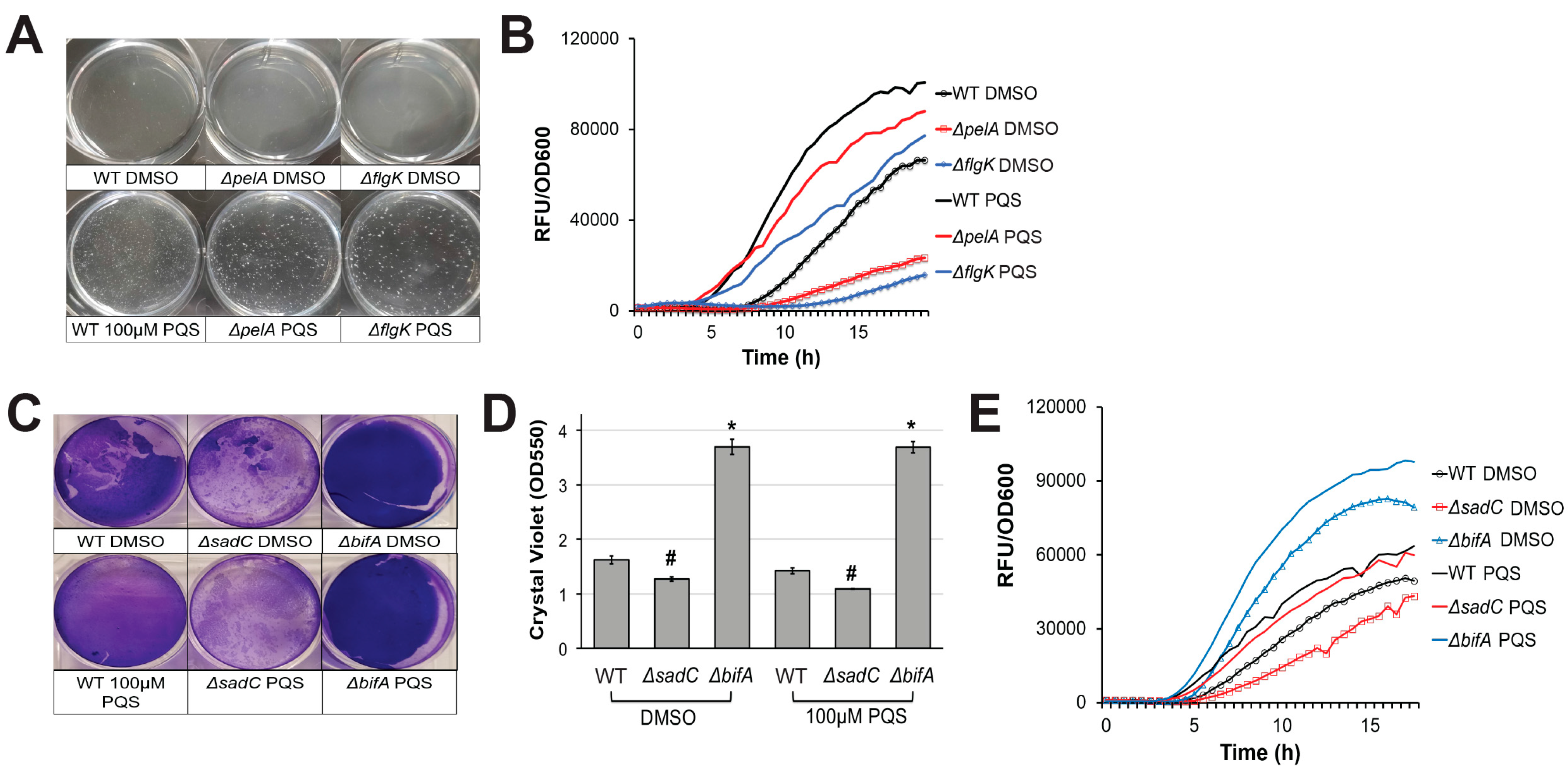 Pathogens 07 00003 g002