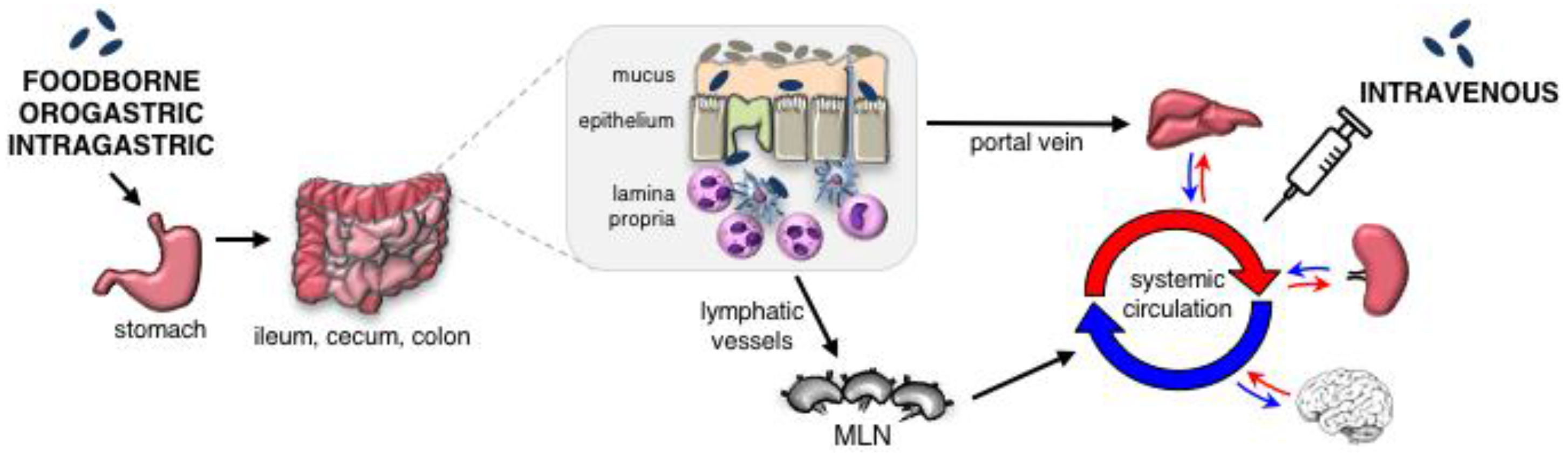 Pathogens 07 00013 g001