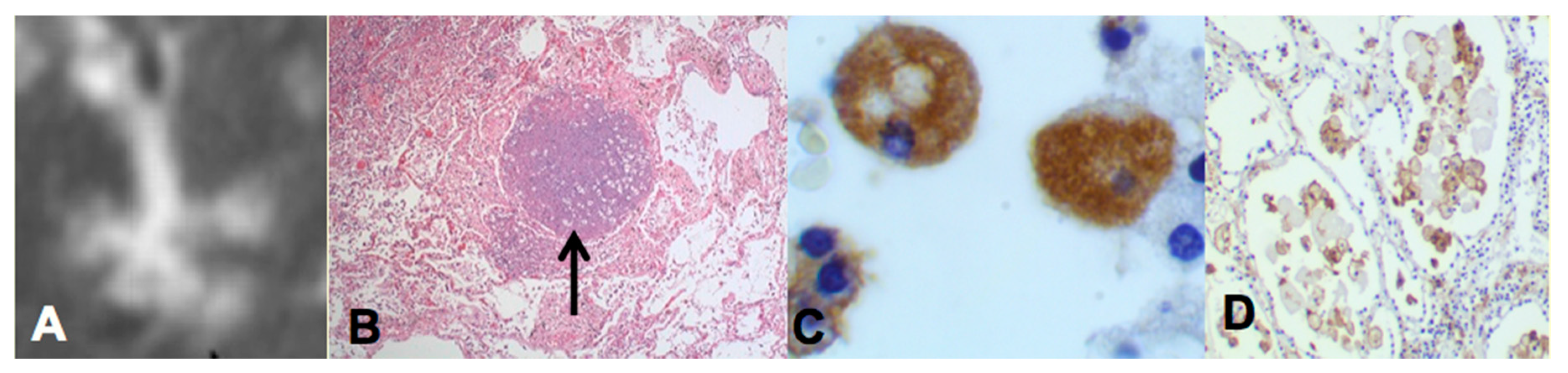 Pathogens 07 00019 g002