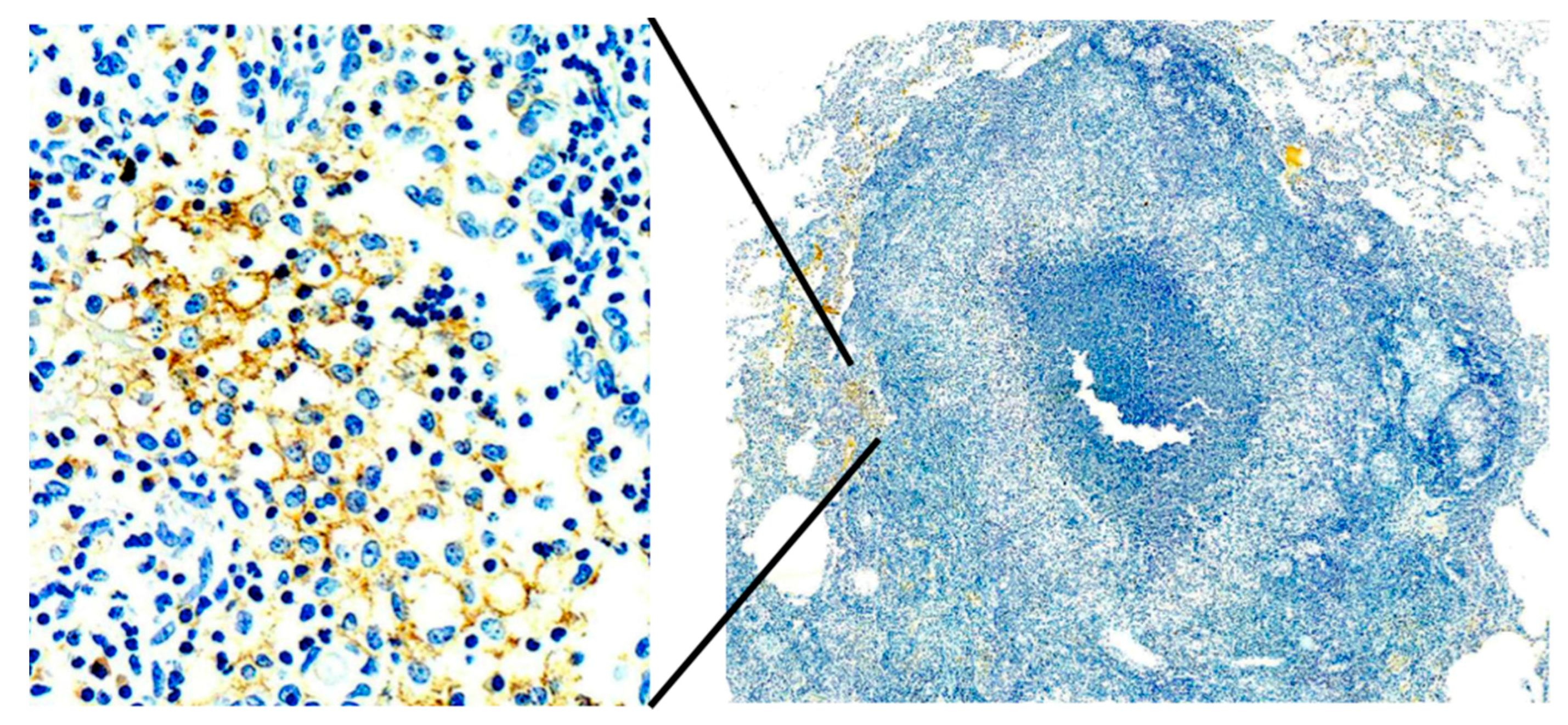 Pathogens 07 00019 g007