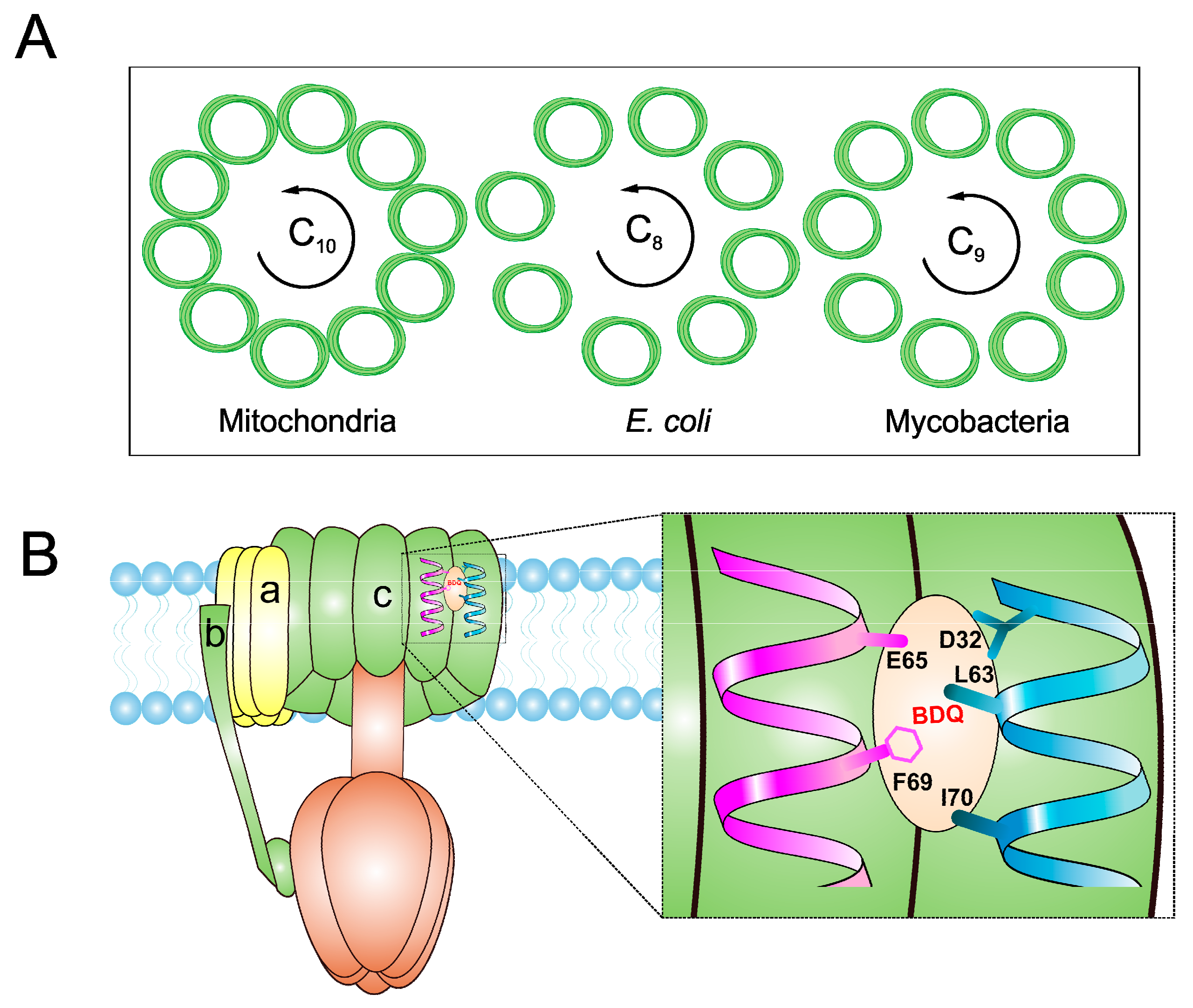 Pathogens 07 00024 g003 Pathogens 07 00024 g003