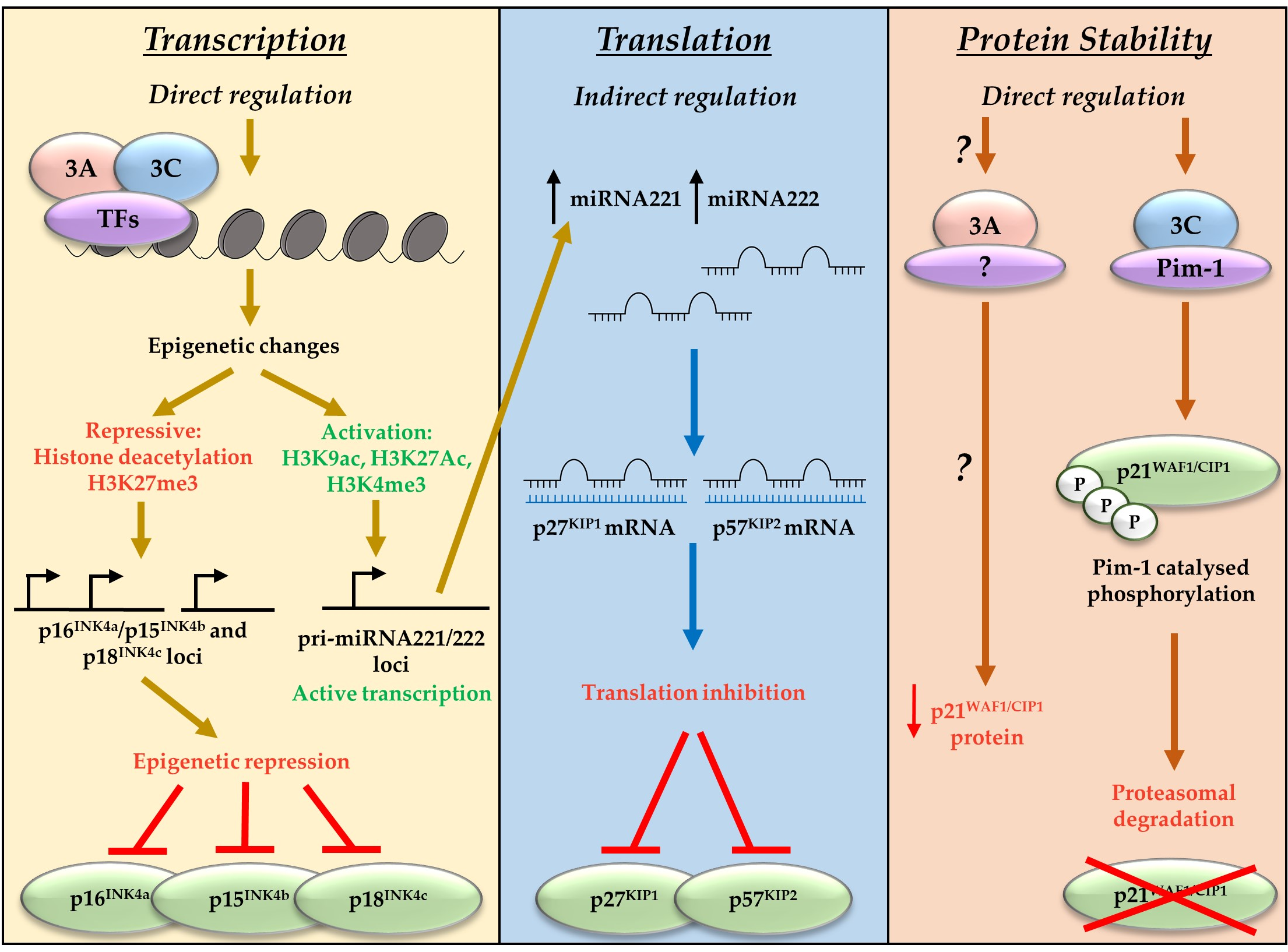 Pathogens 07 00031 g002
