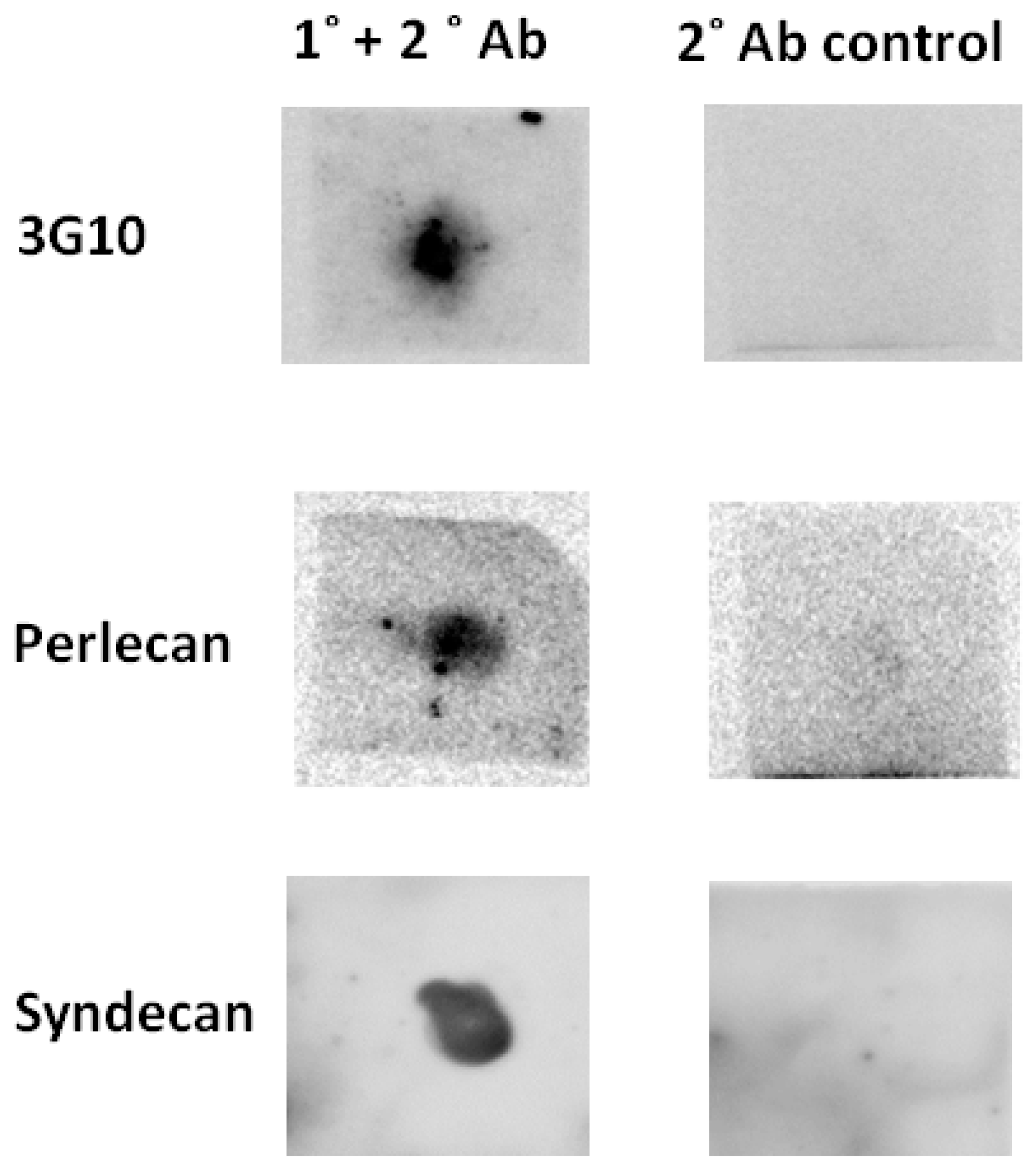 Pathogens 07 00032 g001