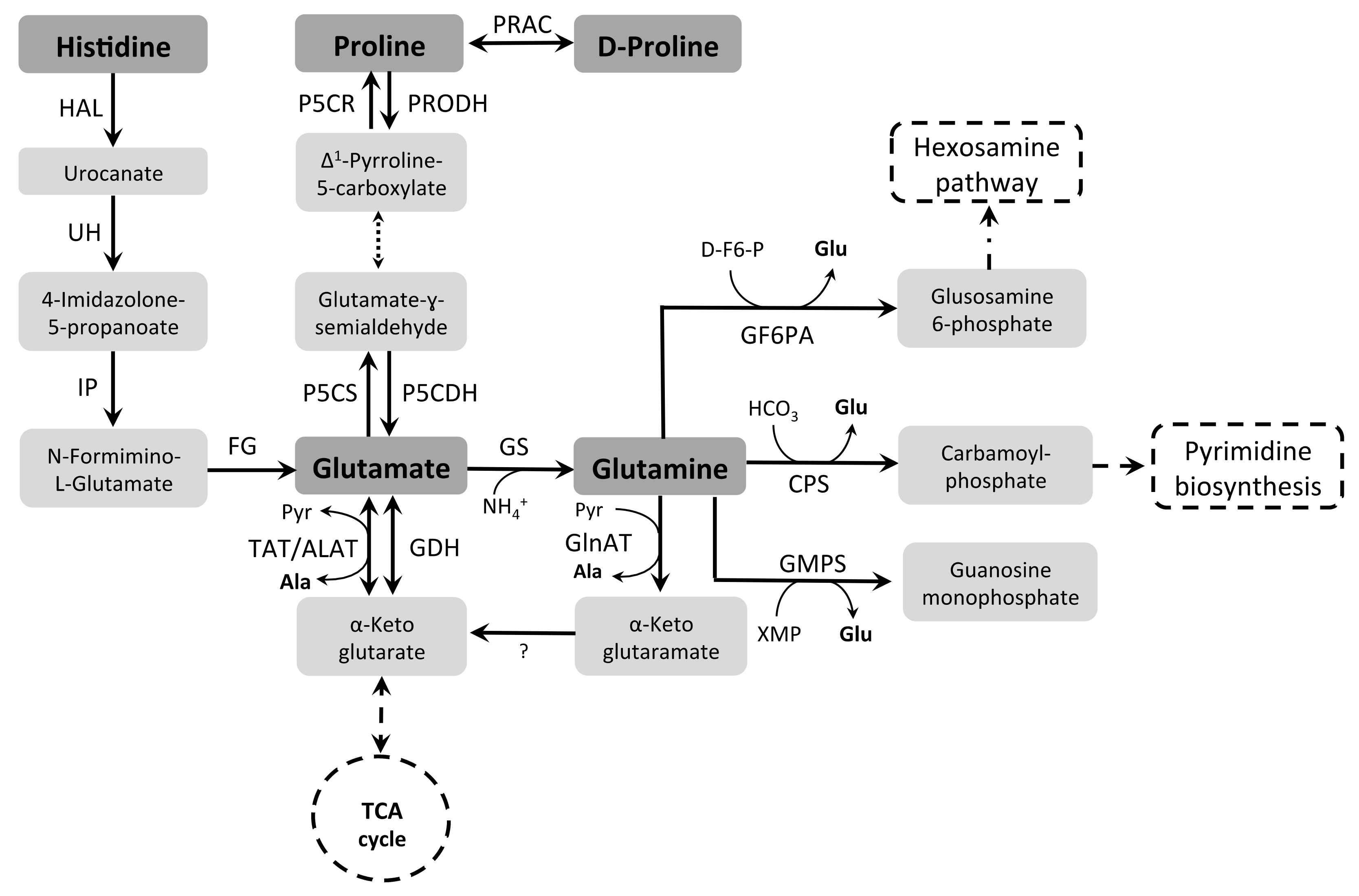 Pathogens 07 00036 g002
