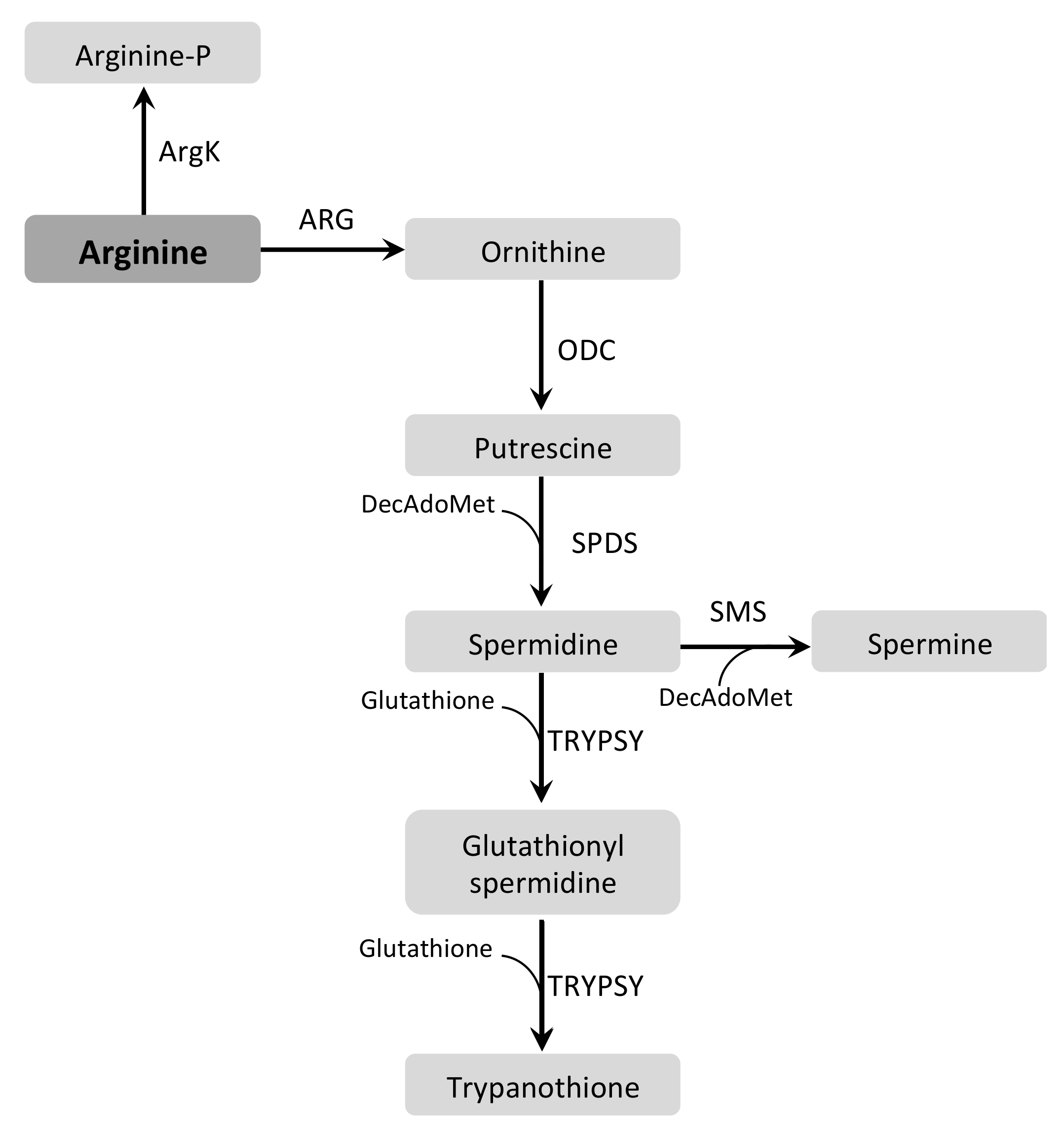 Pathogens 07 00036 g003
